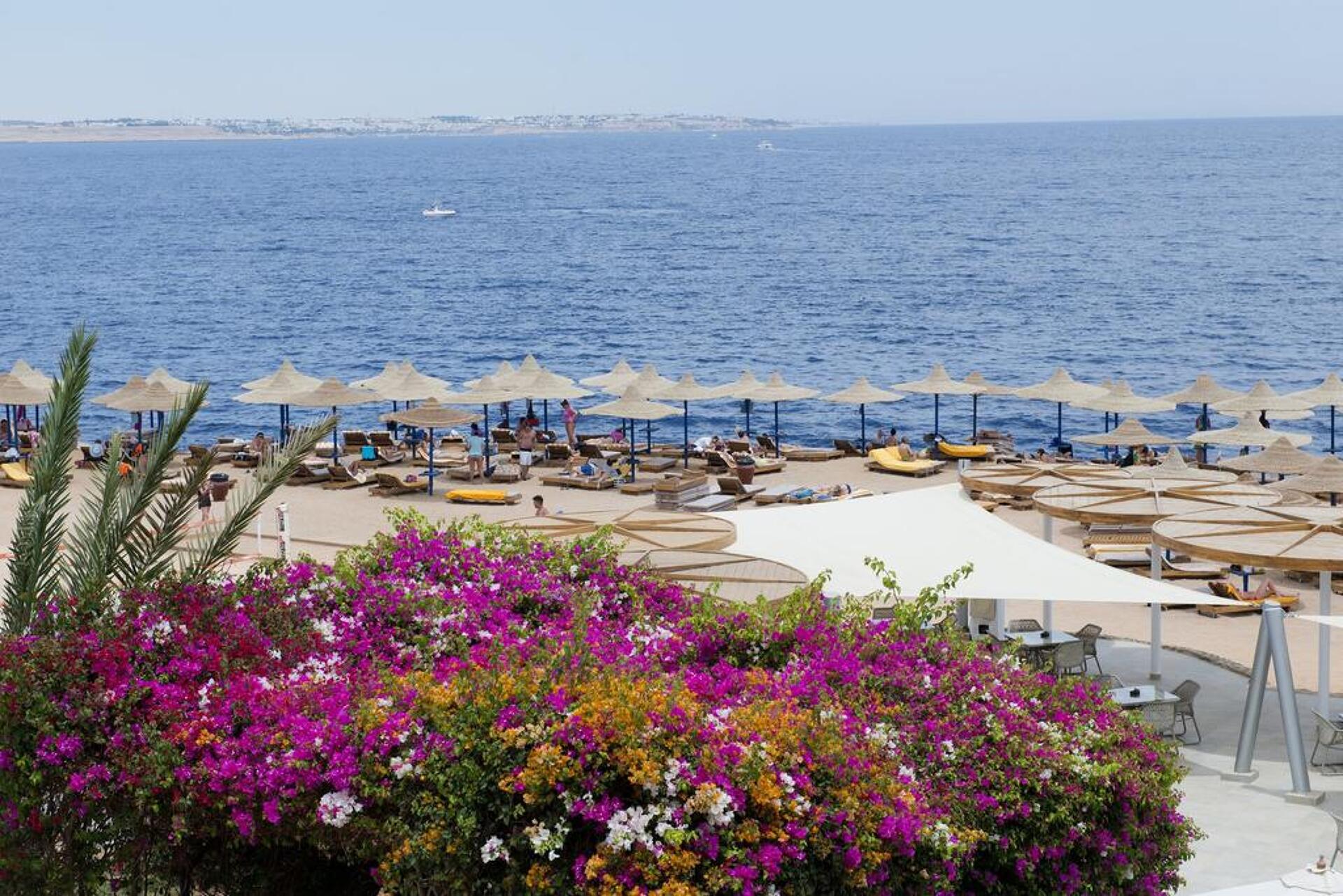 Otium Park Amphoras Blu Resort 4* 37