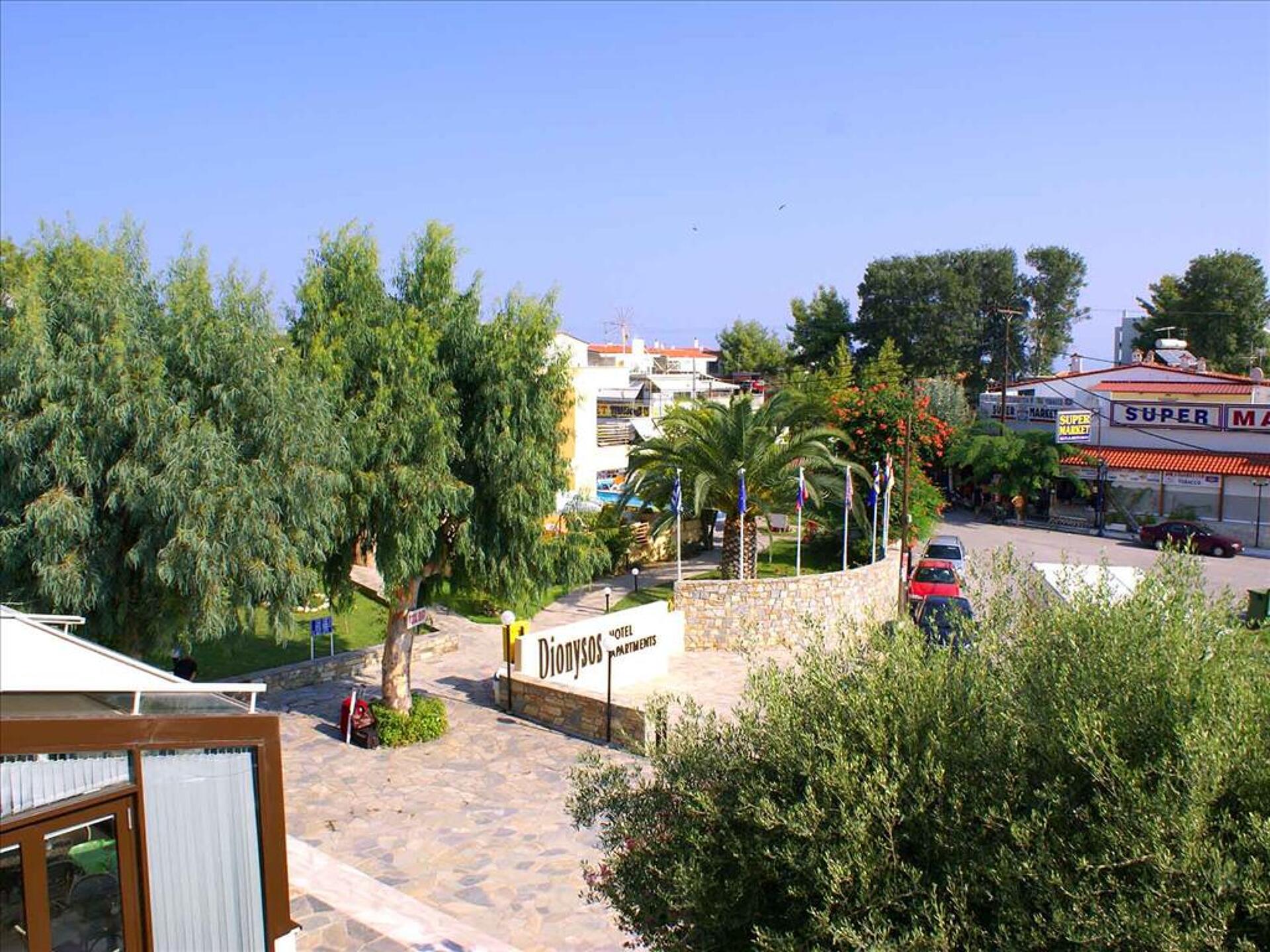 Dionysos Studios 2* 1