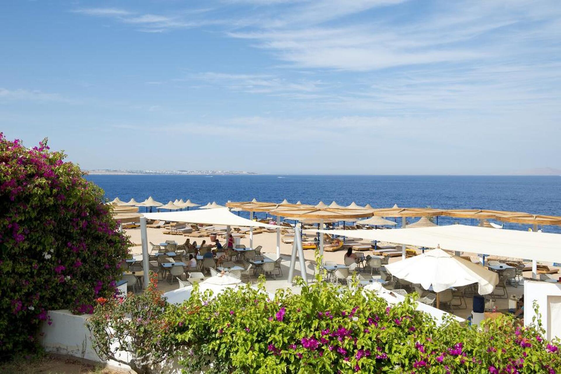 Otium Park Amphoras Blu Resort 4* 34