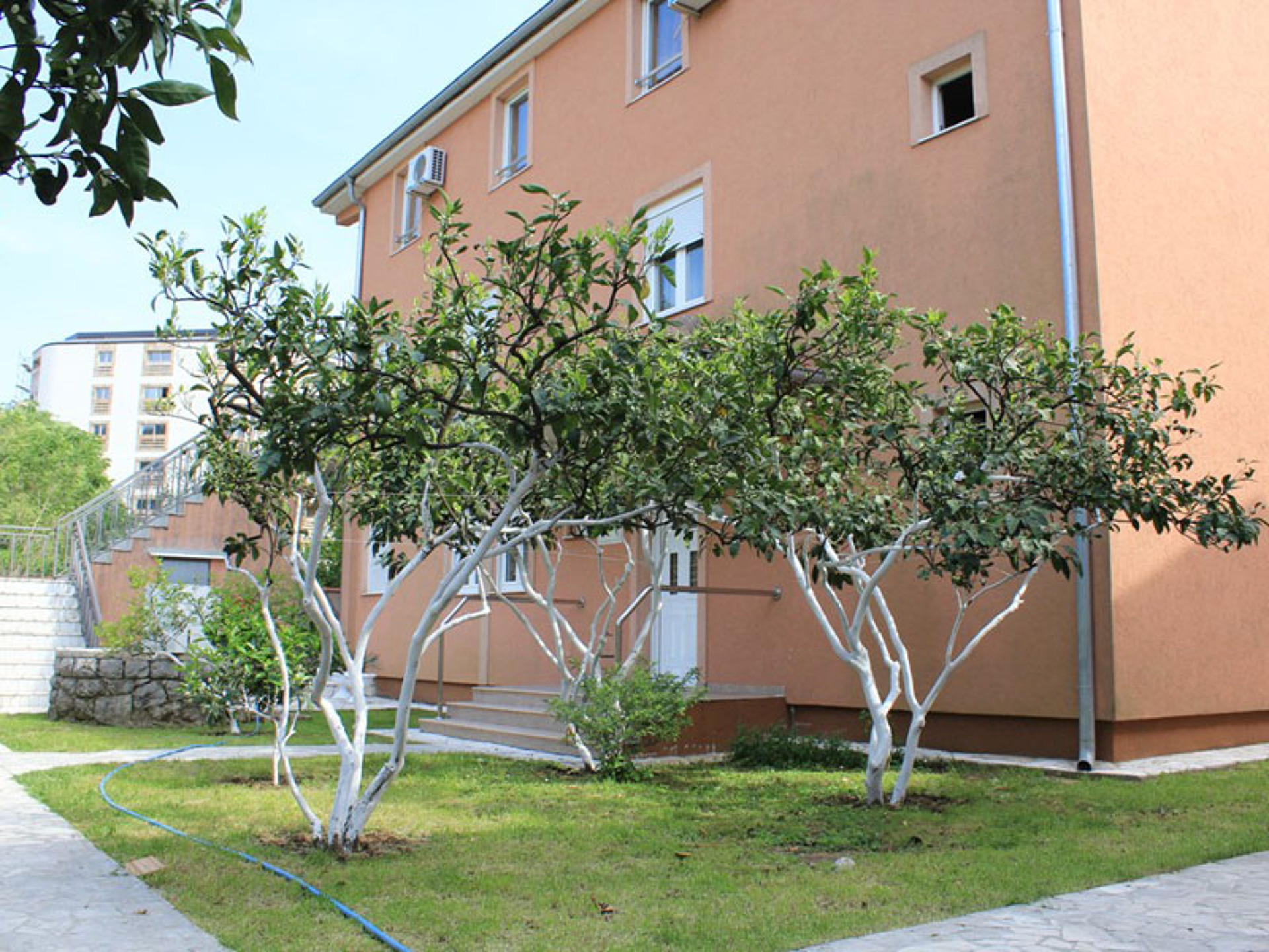 Villa Pansion Palma 3