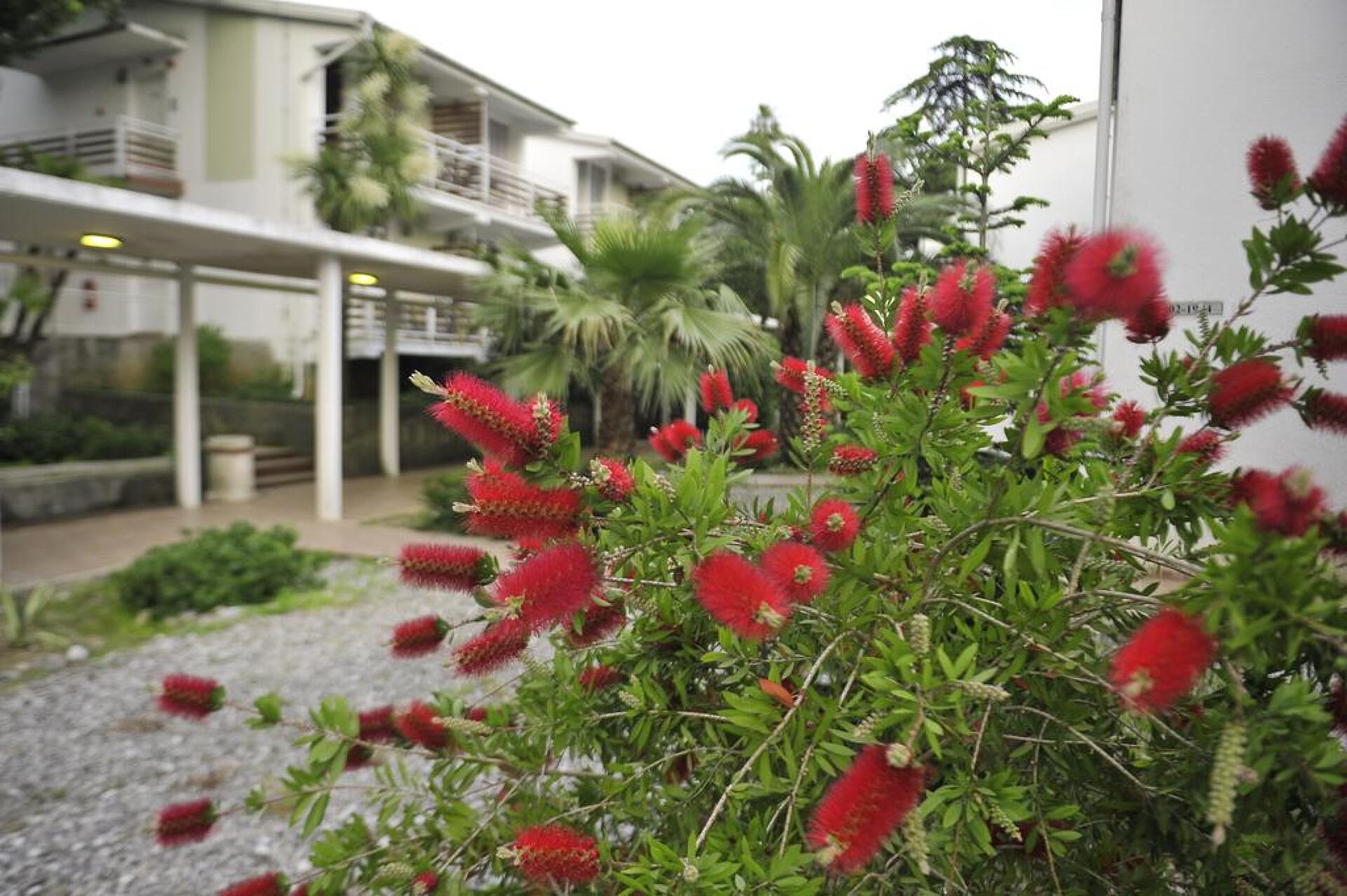Hunguest Hotel Sun Resort 4* 27