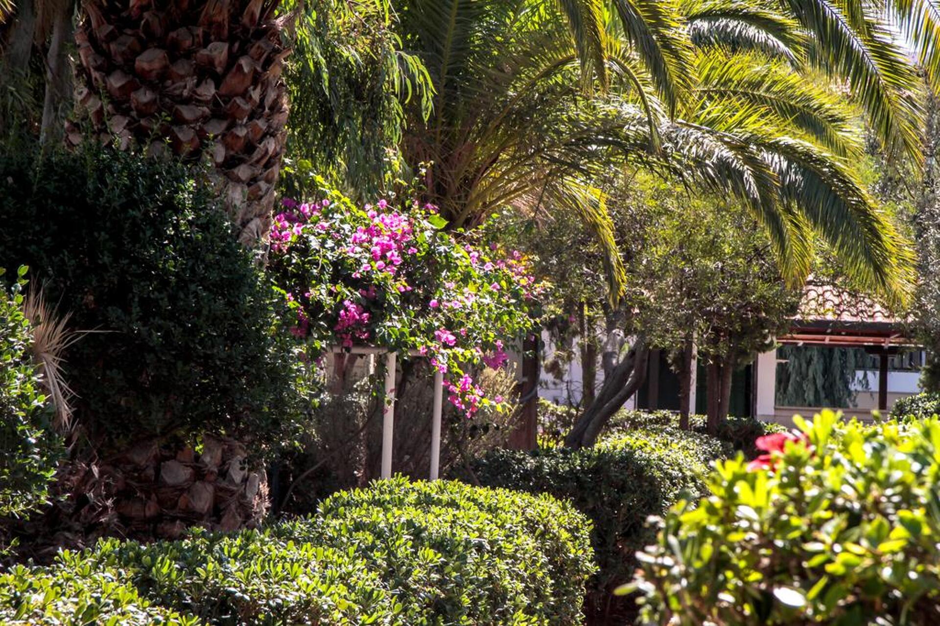 Club Lyda Hotel 3* 5