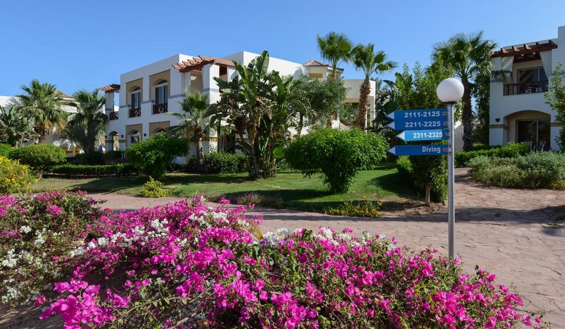Otium Park Amphoras Blu Resort 4* 19