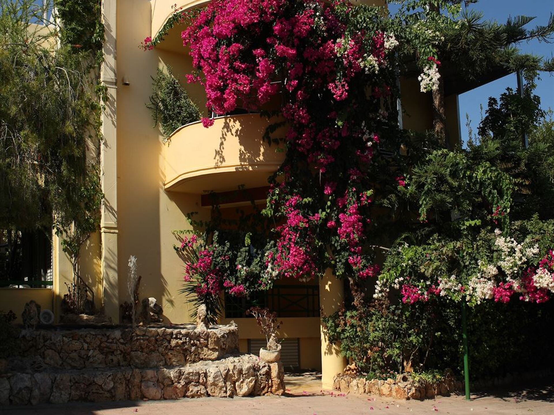 Pantheon Hotel 3* 2