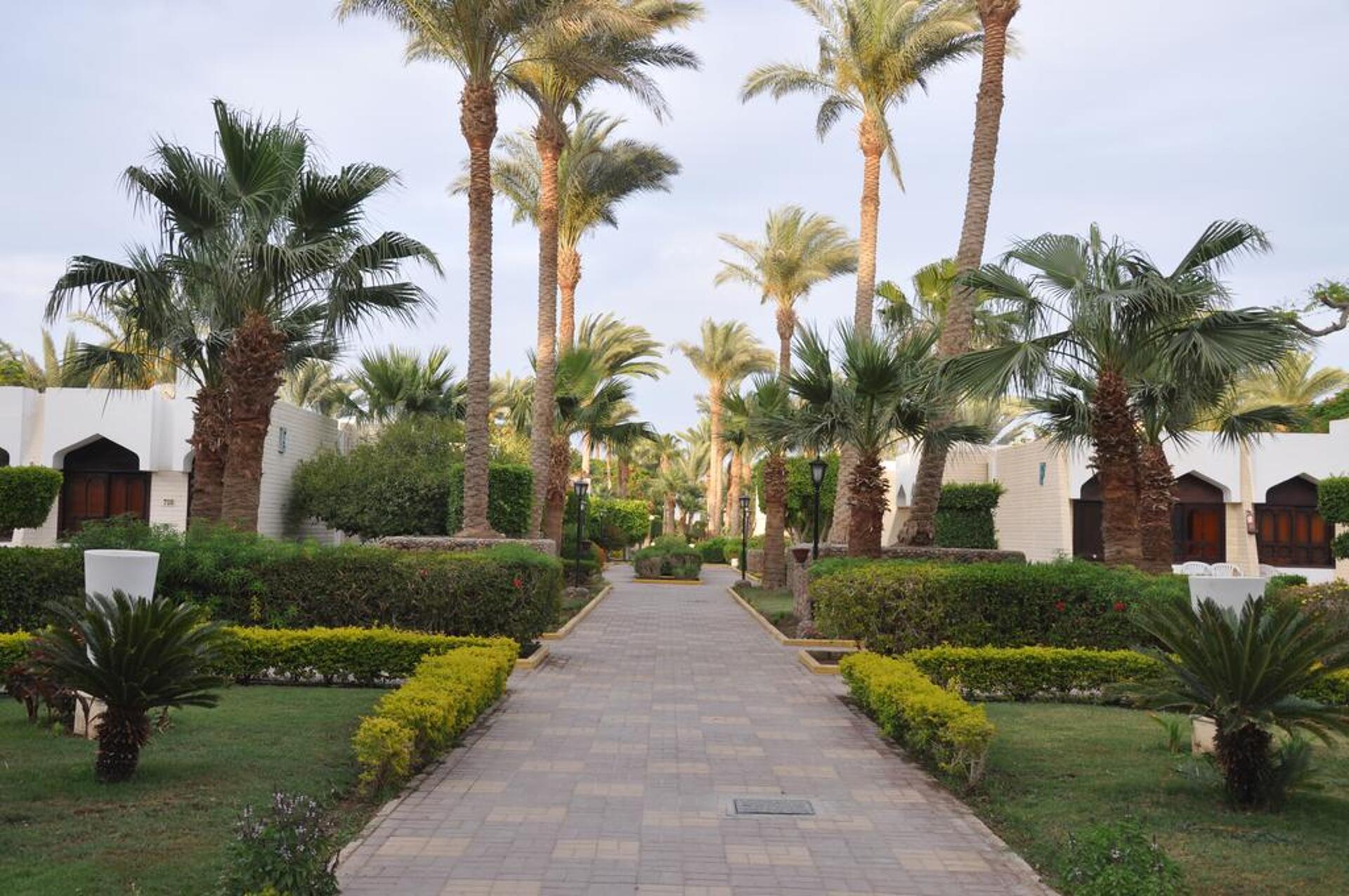 Regina Resort & Aqua Park Hurghada 4* 4