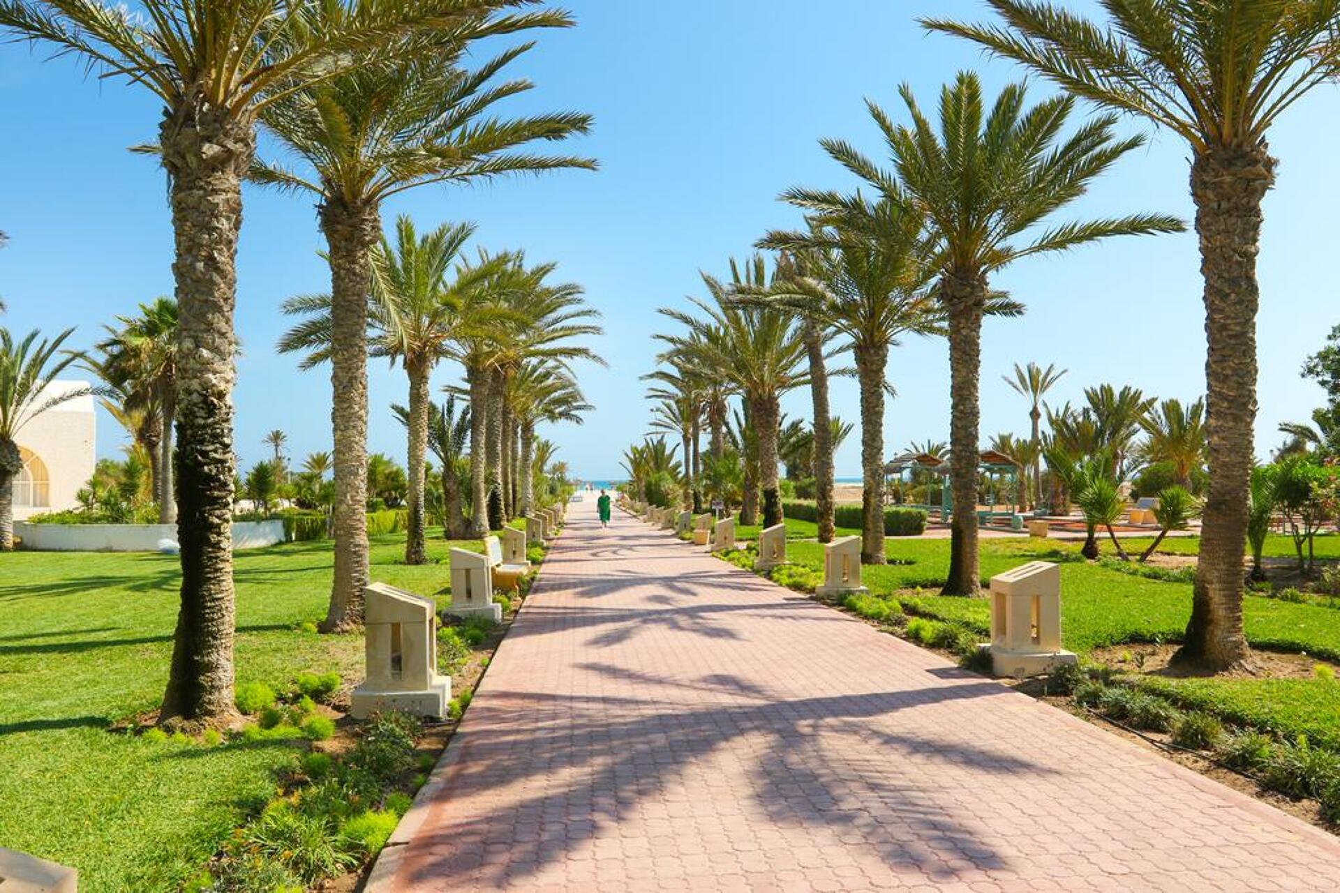 Royal Garden Palace 5* 2