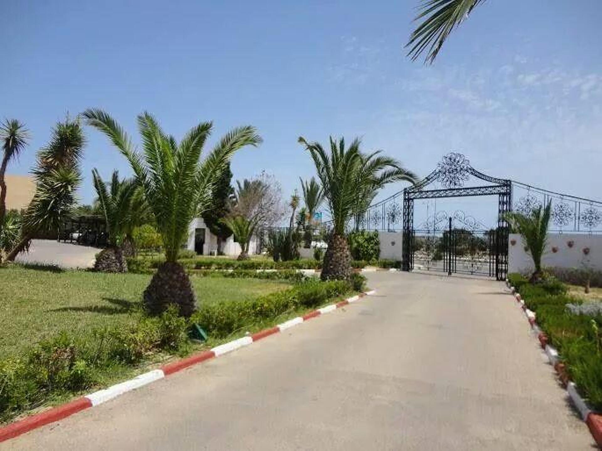 Bravo Monastir 3* 29