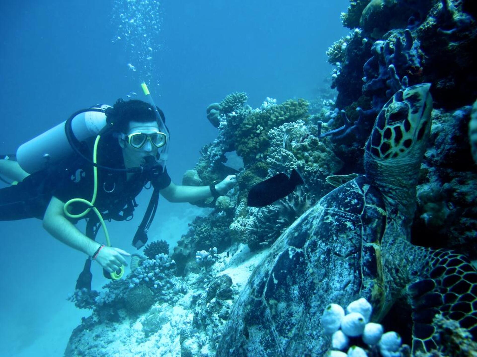 Coco Bodu Hithi 5* 17