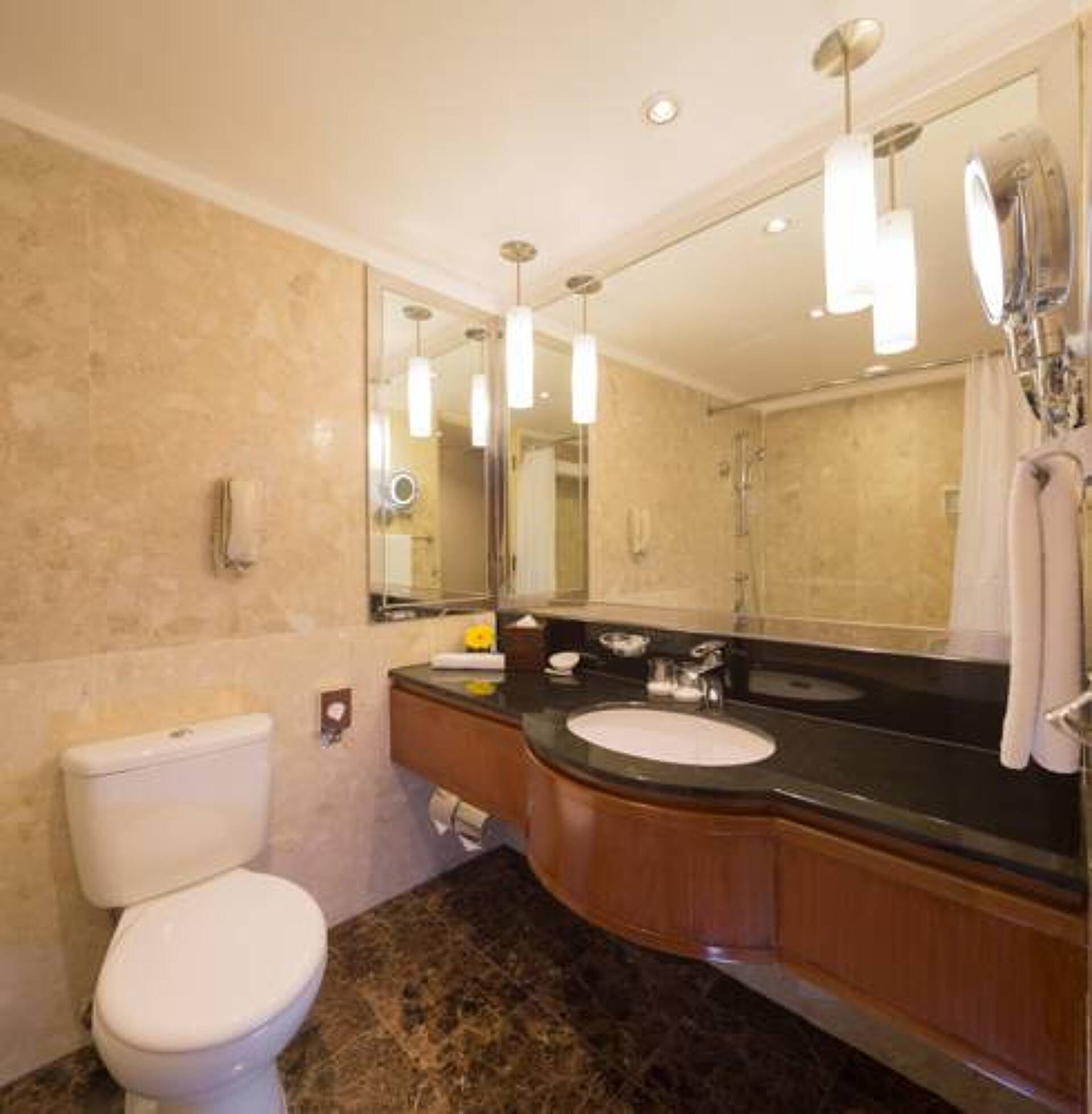 Hilton Singapore 5* 11
