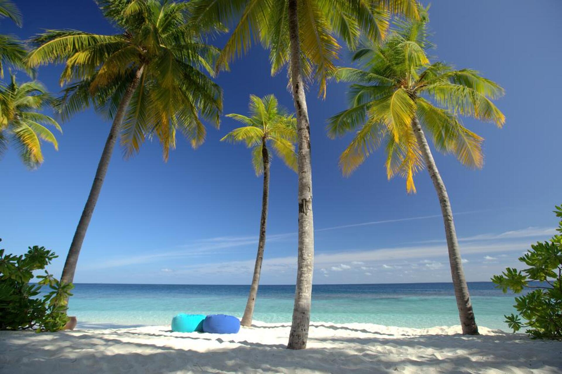 Mirihi Island Resort 5* 3