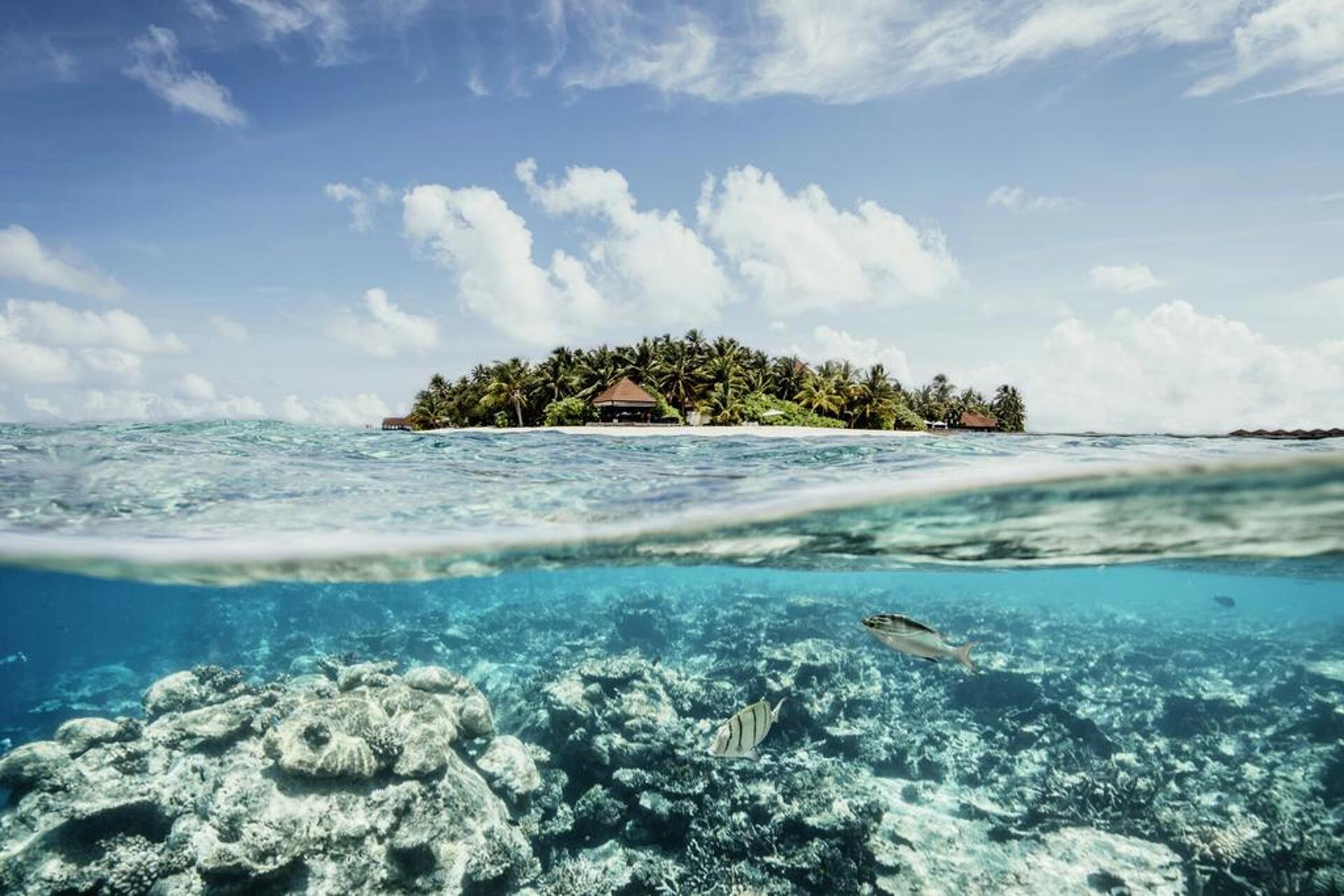 Robinson Club Maldives 4* 8