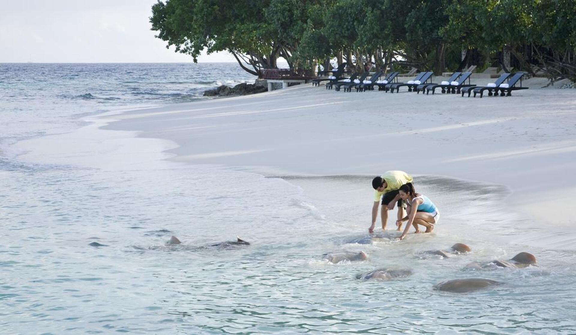 Taj Coral Reef Resort & Spa 5* 31
