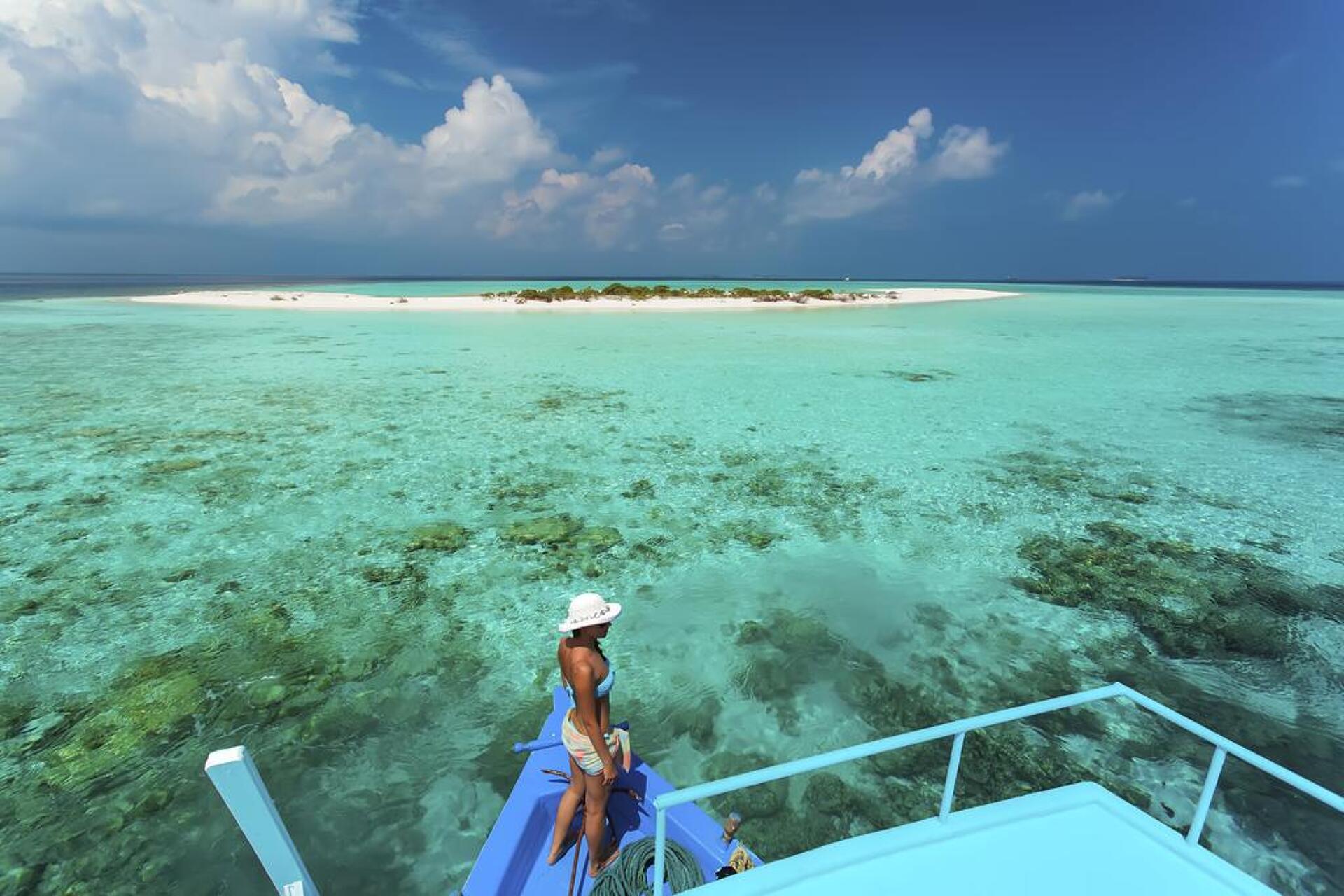 АaaVeee Nature's Paradise 4* 7
