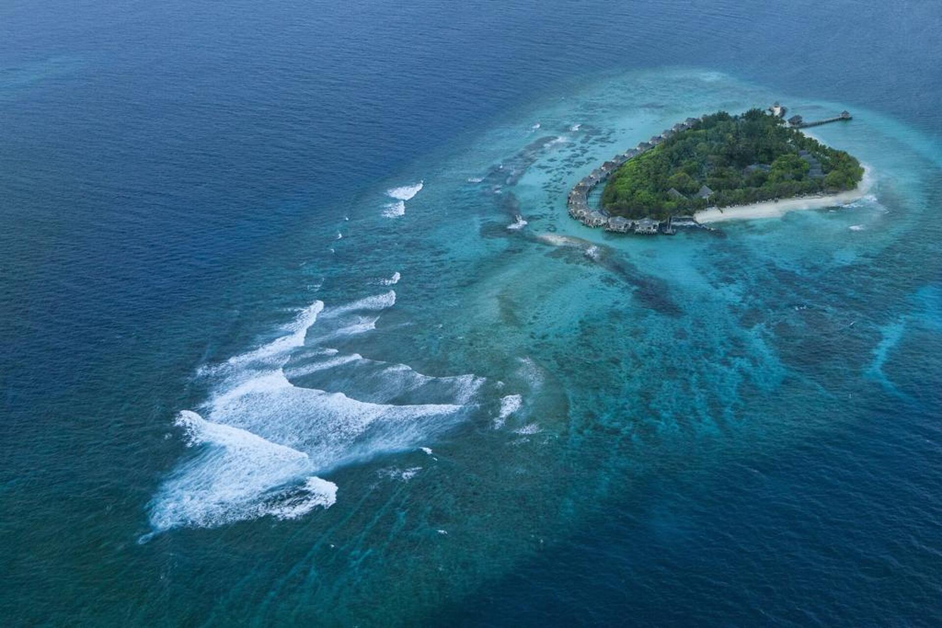 Taj Coral Reef Resort & Spa 5* 28
