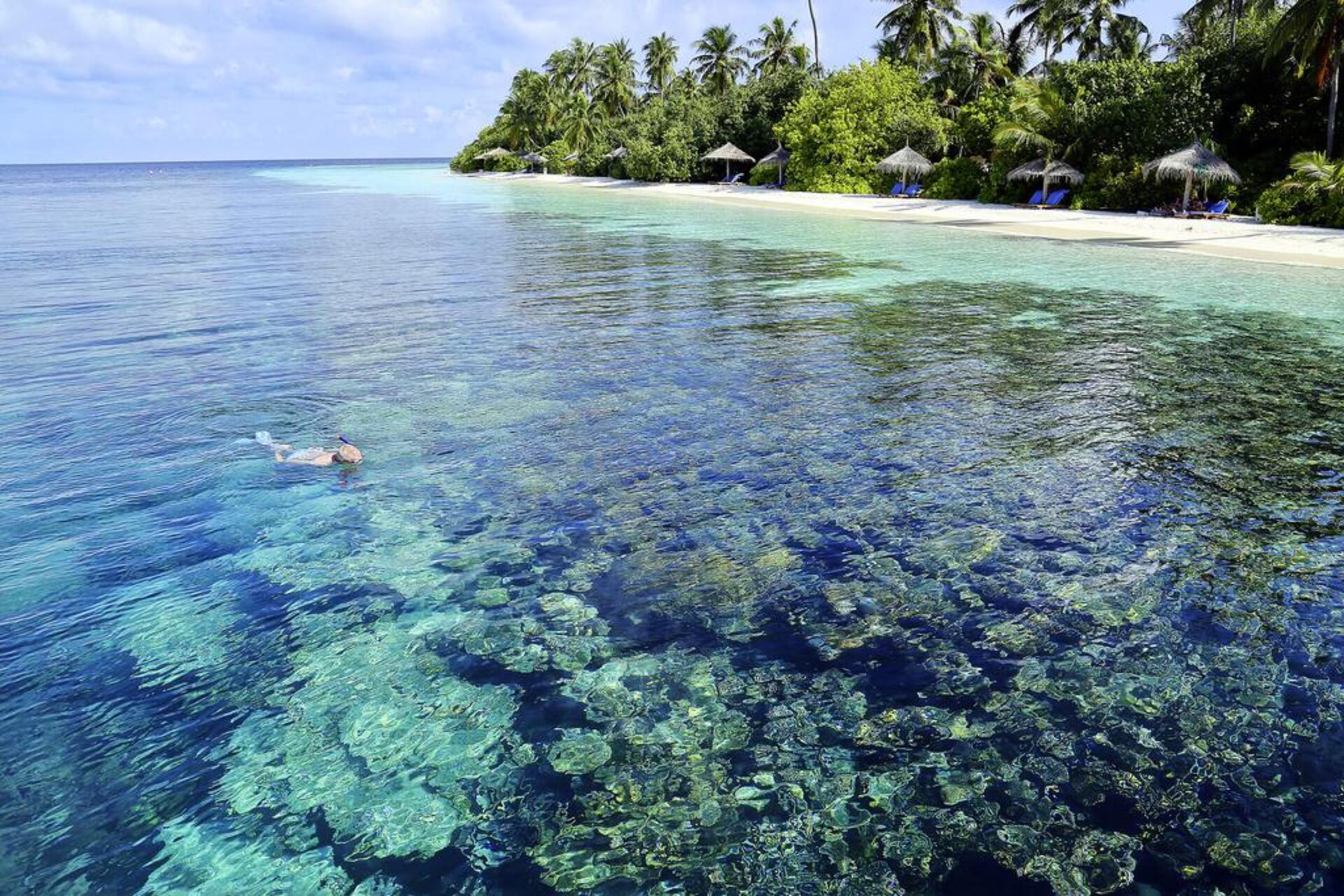 Robinson Club Maldives 4* 17
