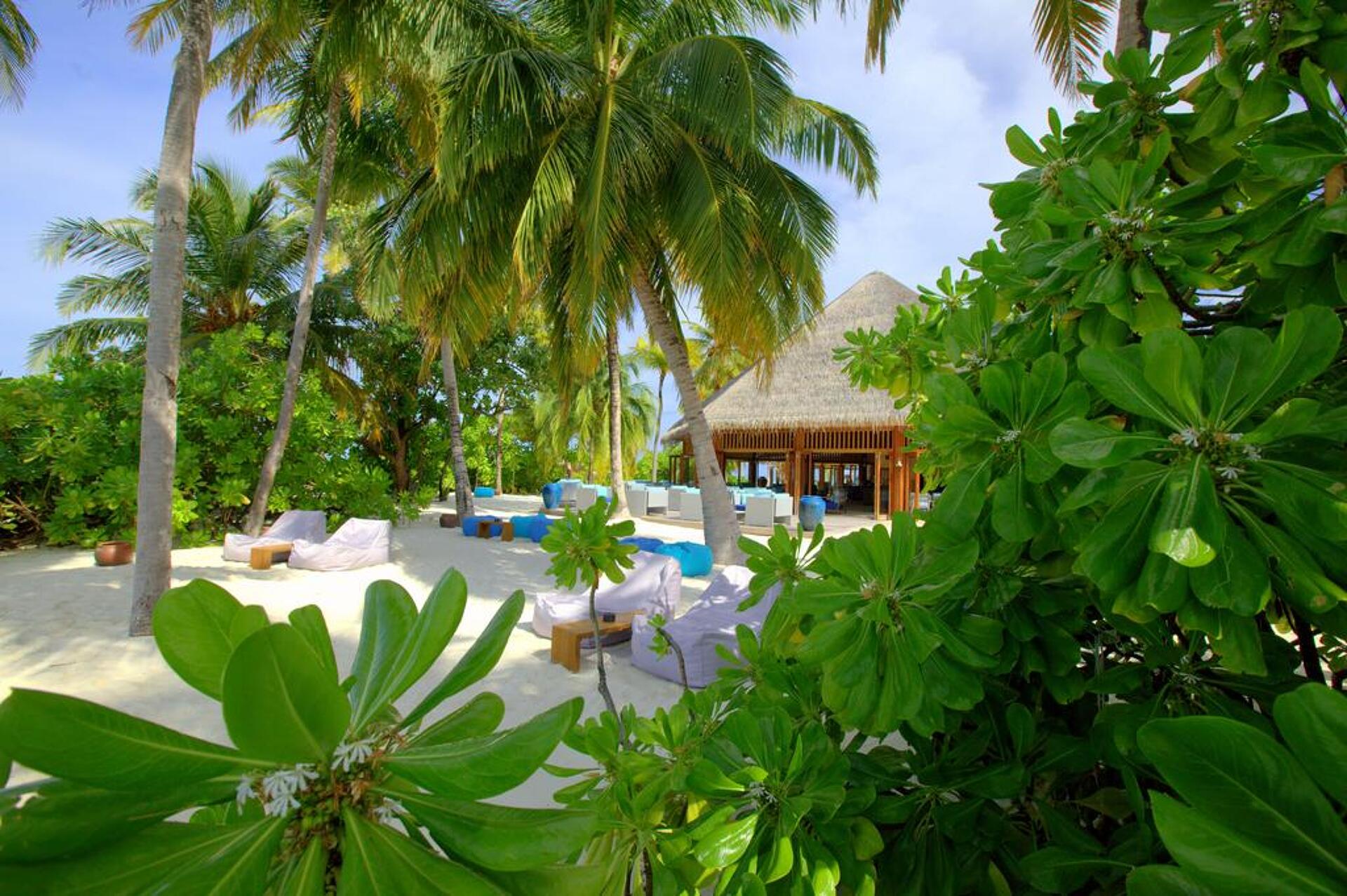 Mirihi Island Resort 5* 4