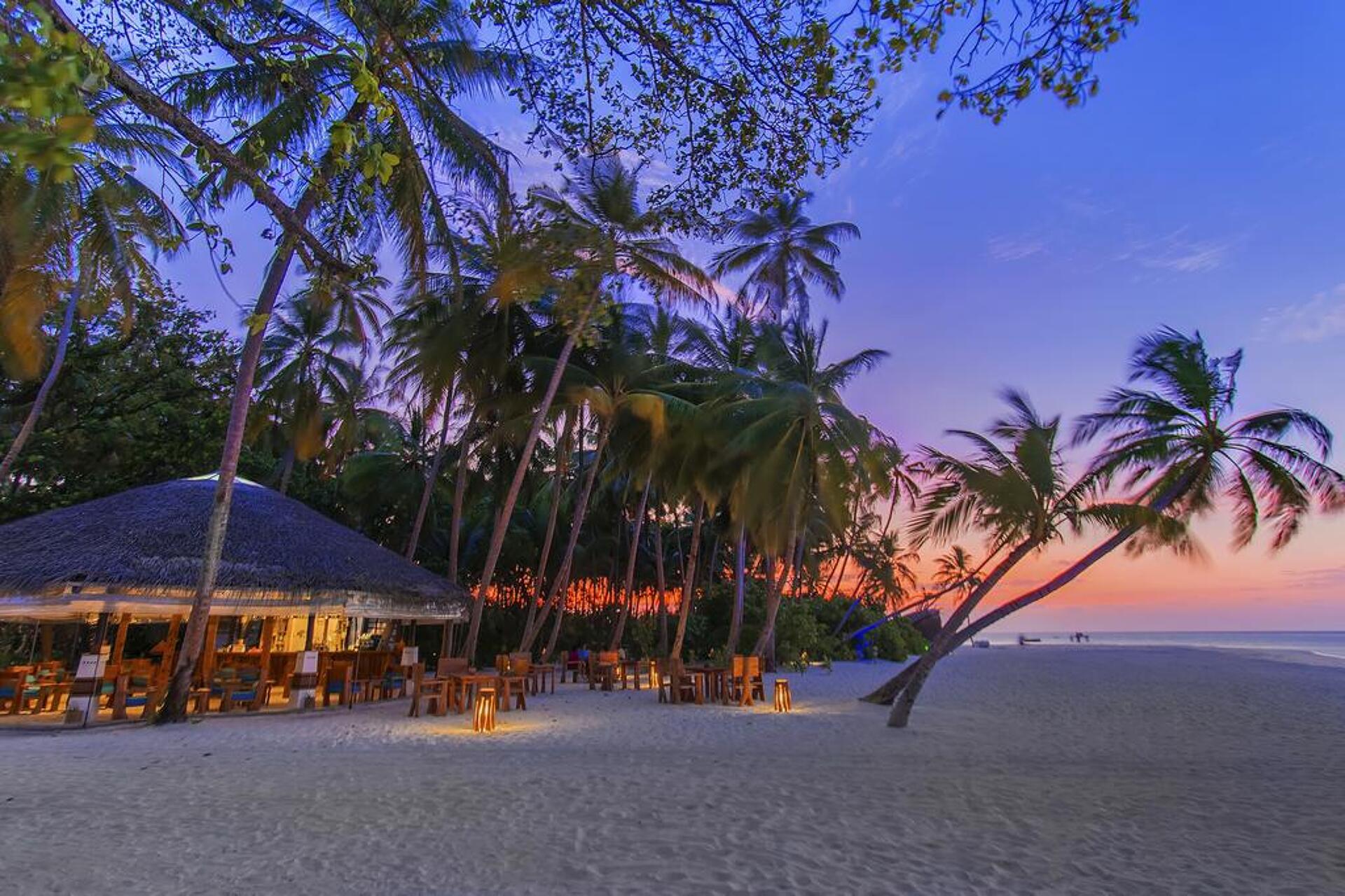 АaaVeee Nature's Paradise 4* 3