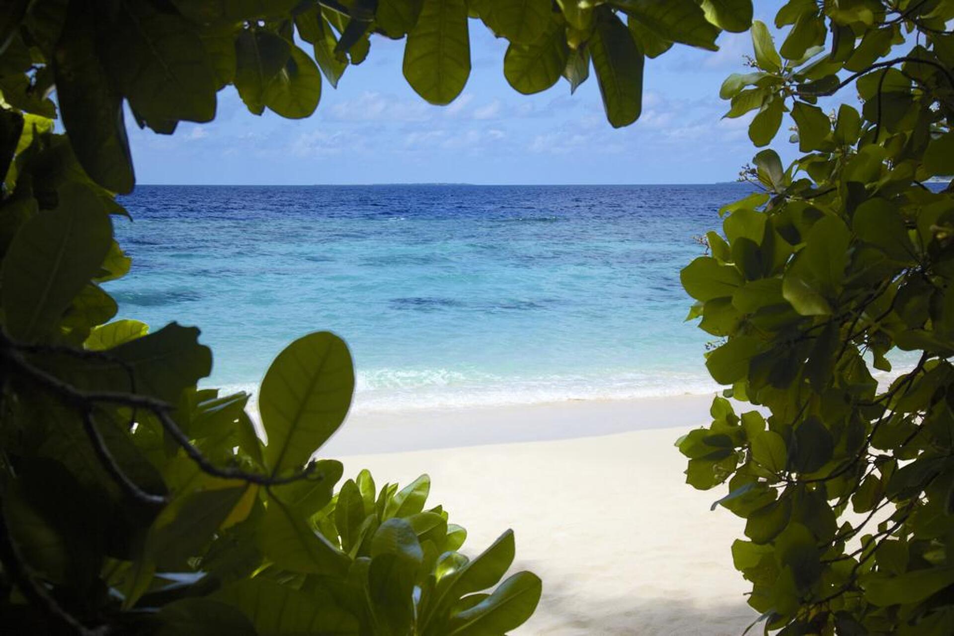 Dusit Thani Maldives 5* 1