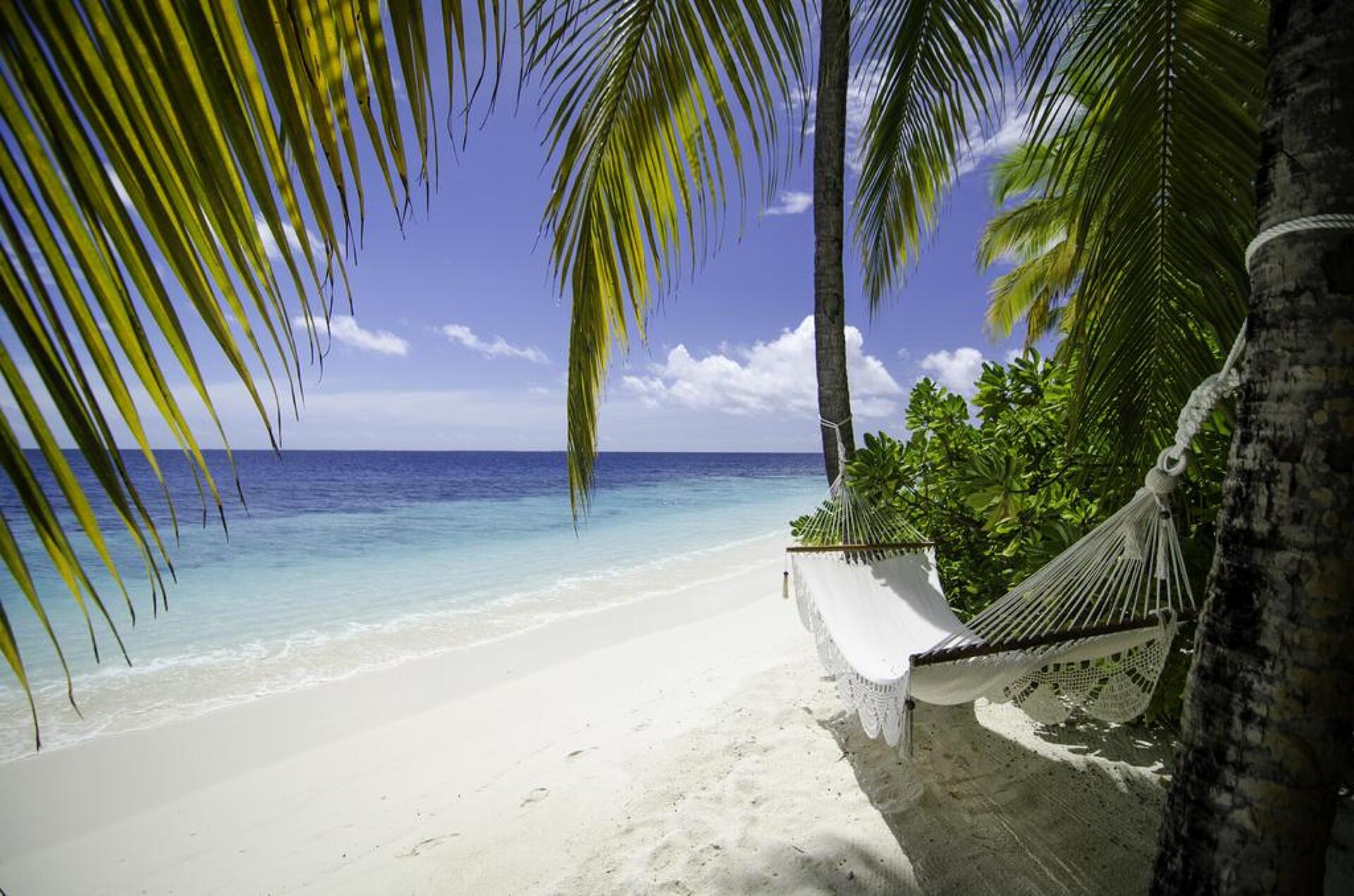 Mirihi Island Resort 5* 21