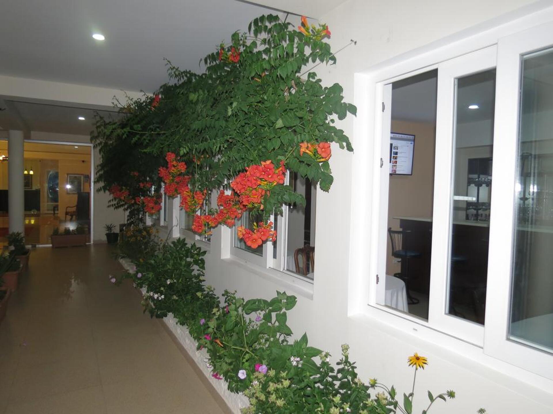 Kobuleti Beach Club 4* 22