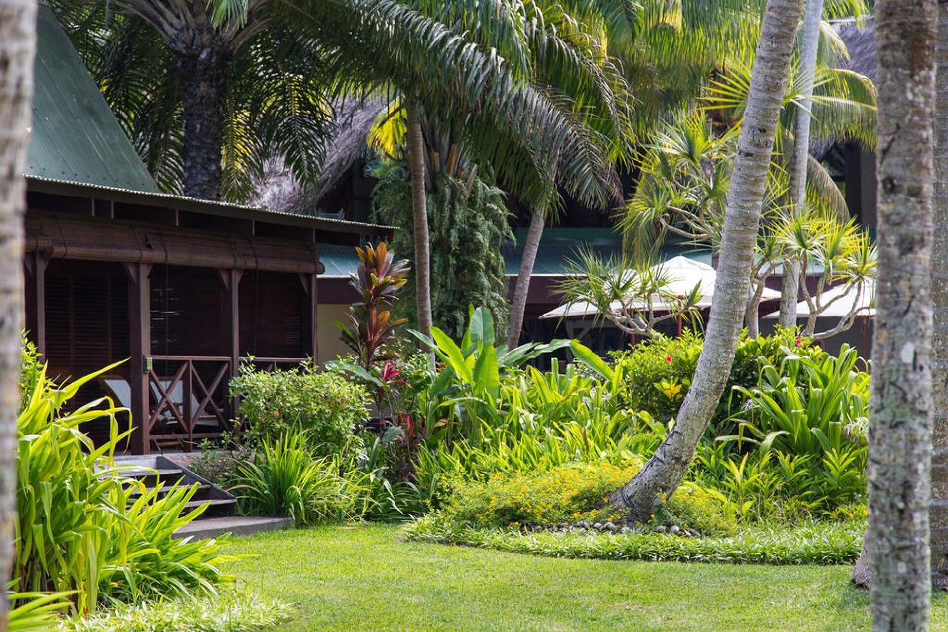Paradise Sun Hotel 4* 5