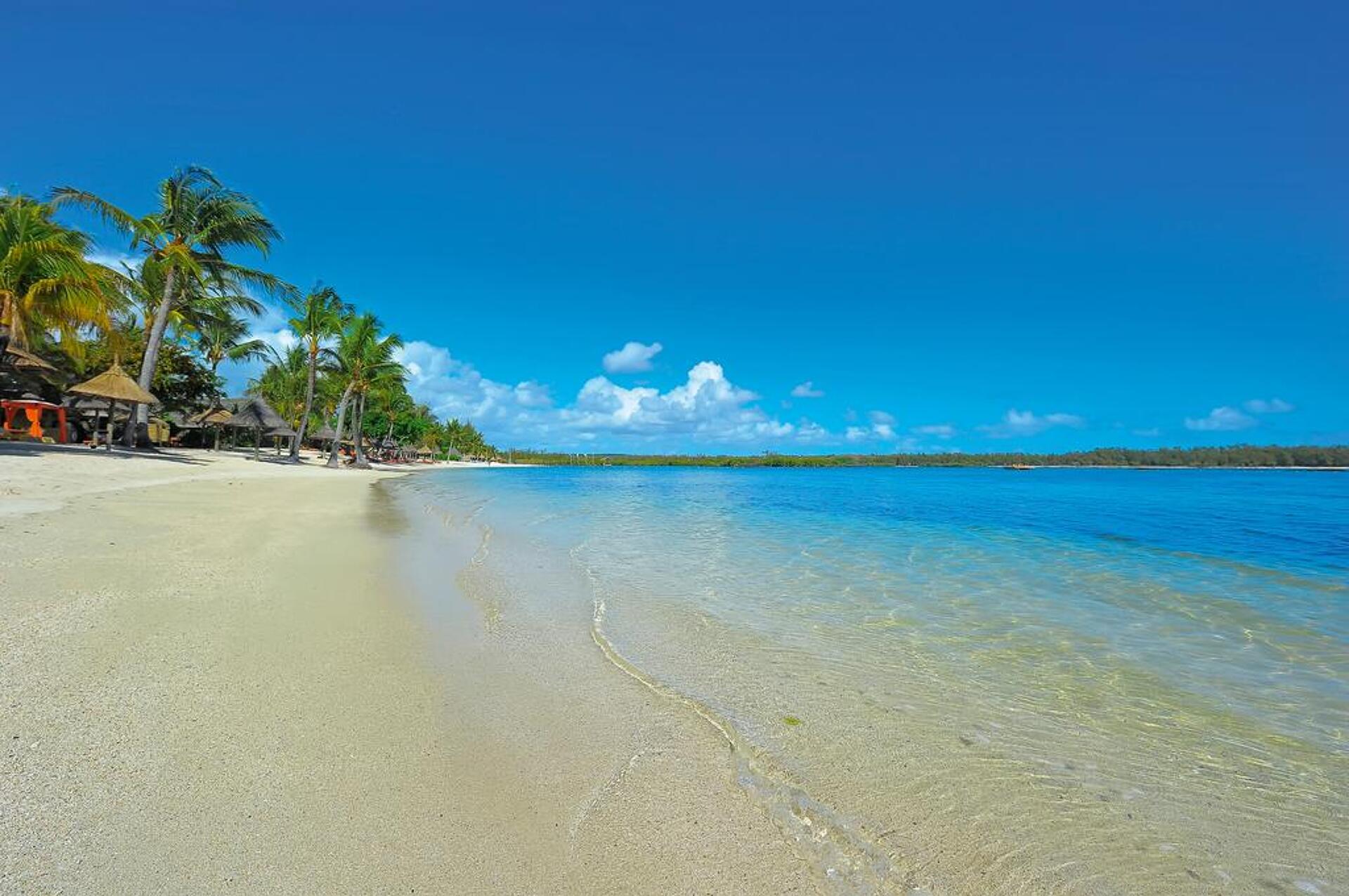 Constance Prince Maurice 5* 34
