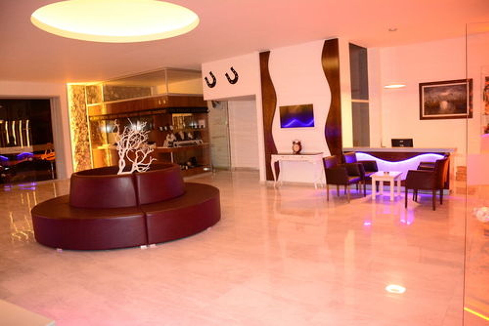 Alenz Suite Hotel 3* 2