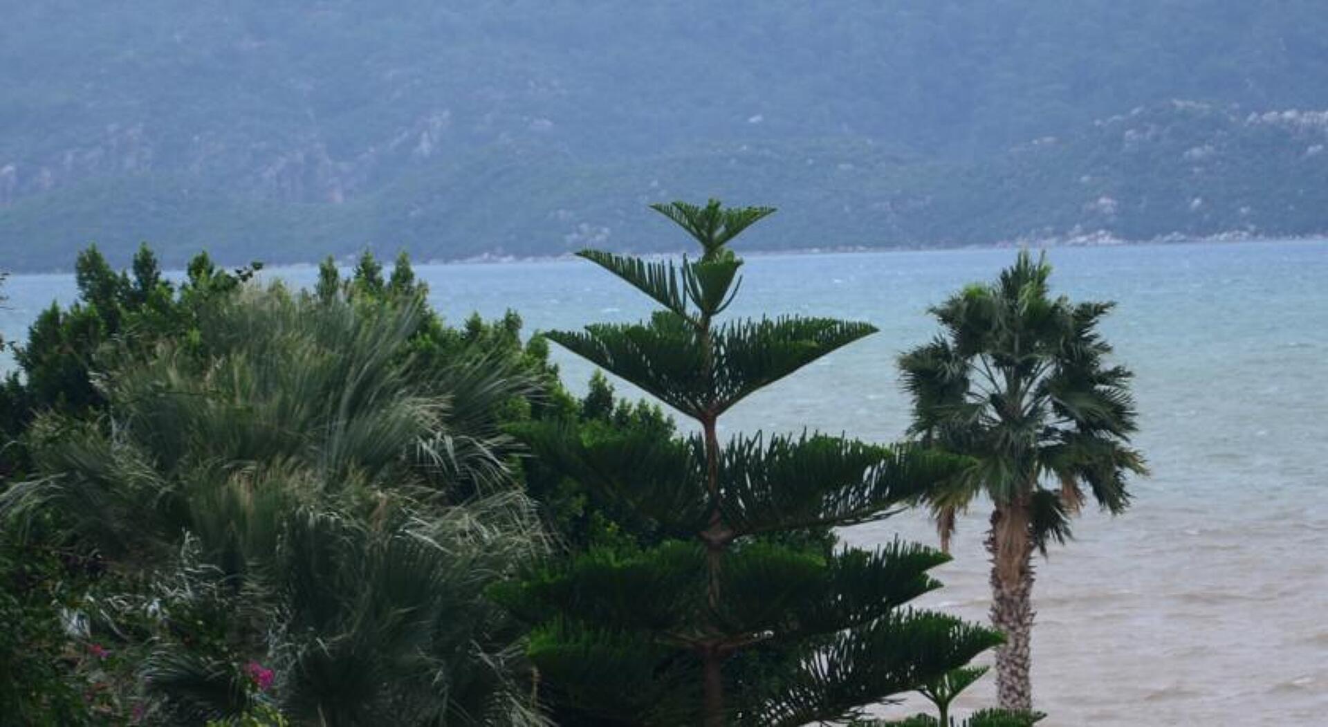 Almena Hotel 4* 2