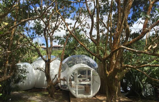Bubble Lodge