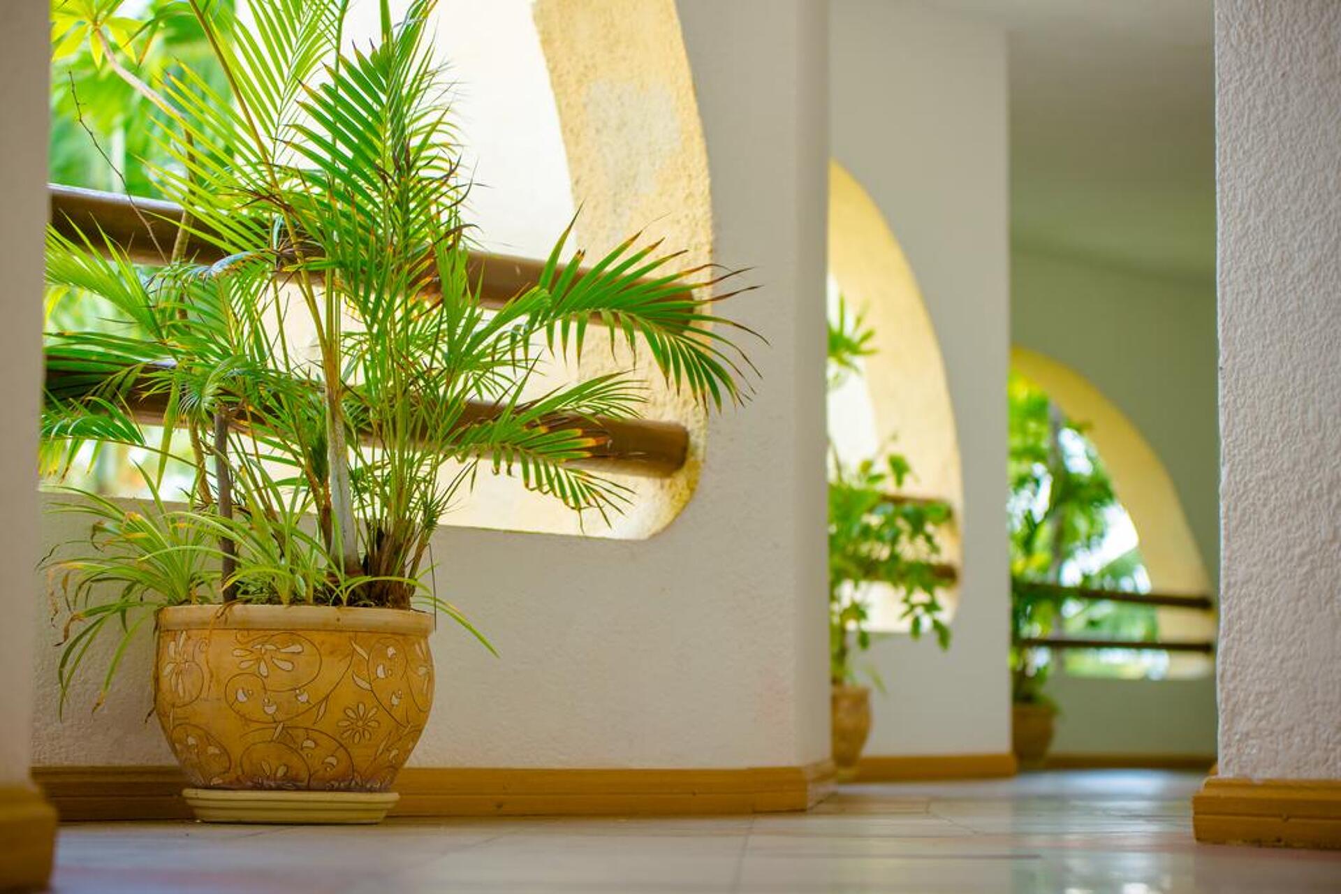 Le Surcouf Hotel & Spa 3* 24