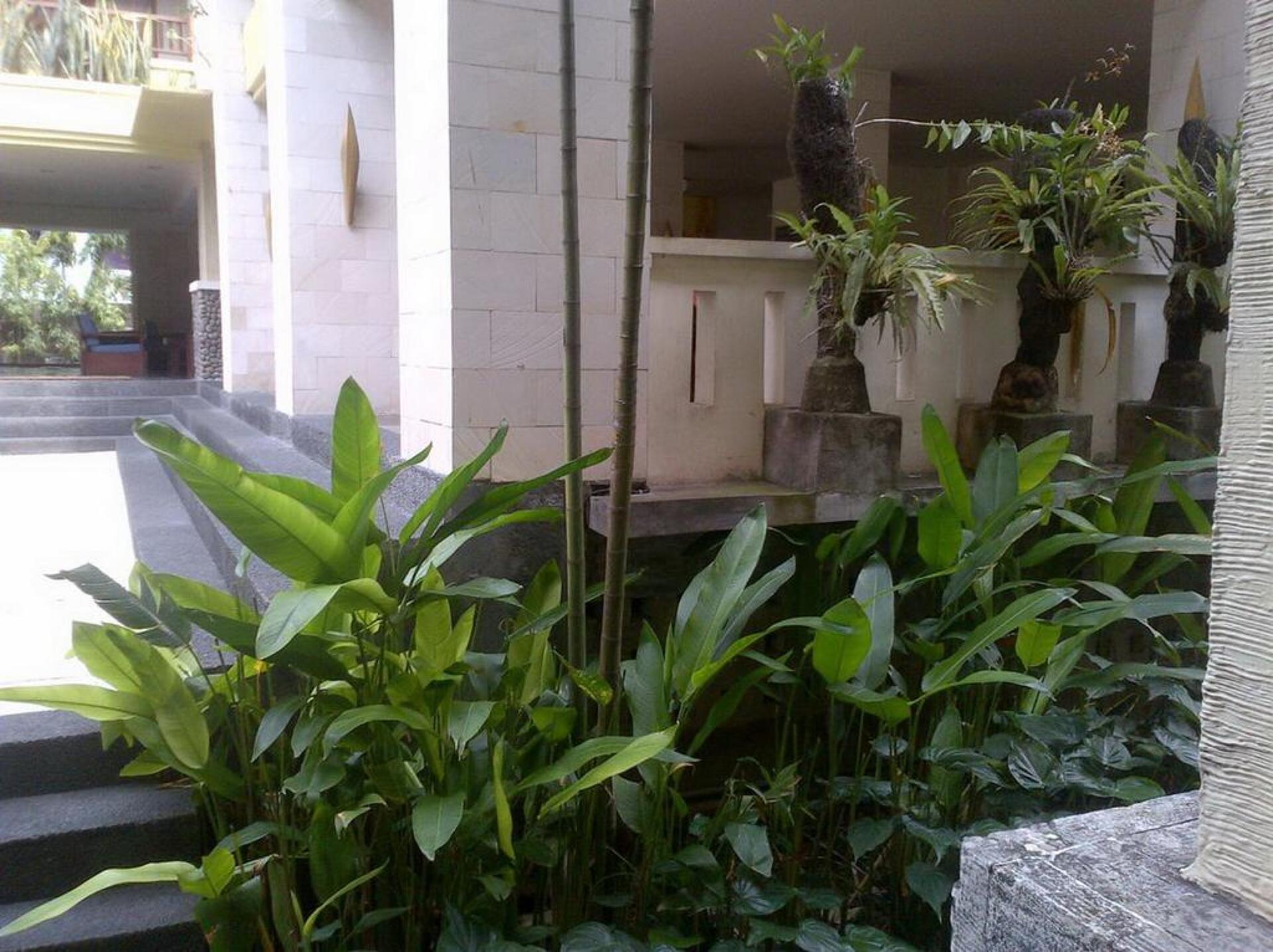 Fourteen Roses Beach Hotel 3* 29
