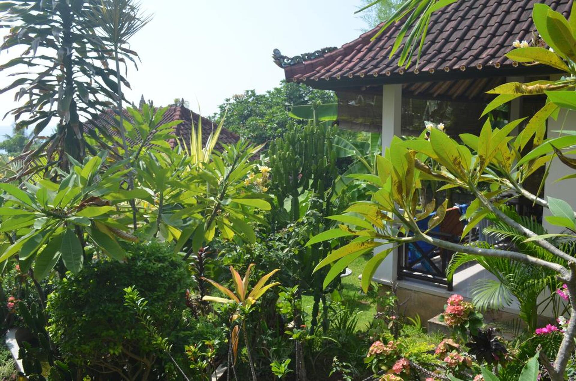 Sinar Bali Bungalow 2* 13