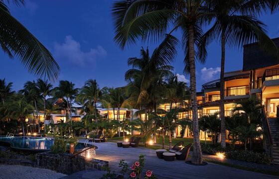 Royal Palm Beachcomber