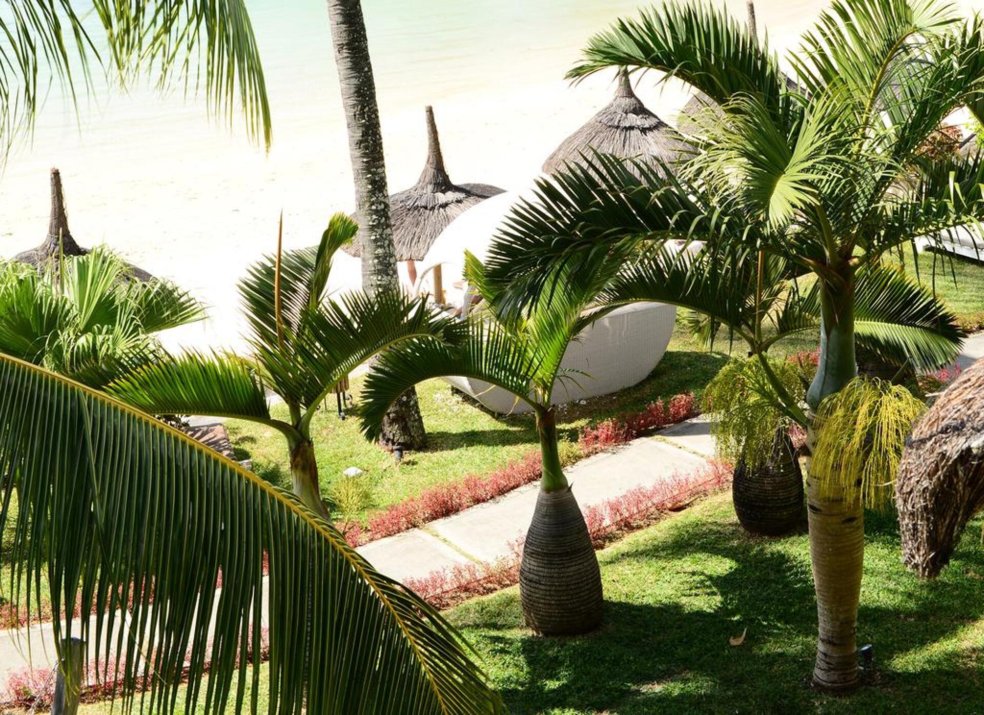 Veranda Paul & Virginie Hotel & Spa 3* 21