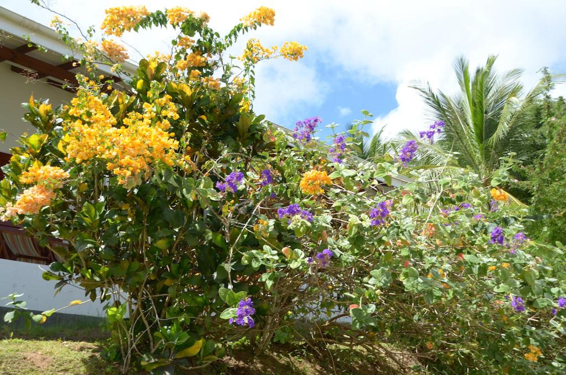 La Residence Mahe 2