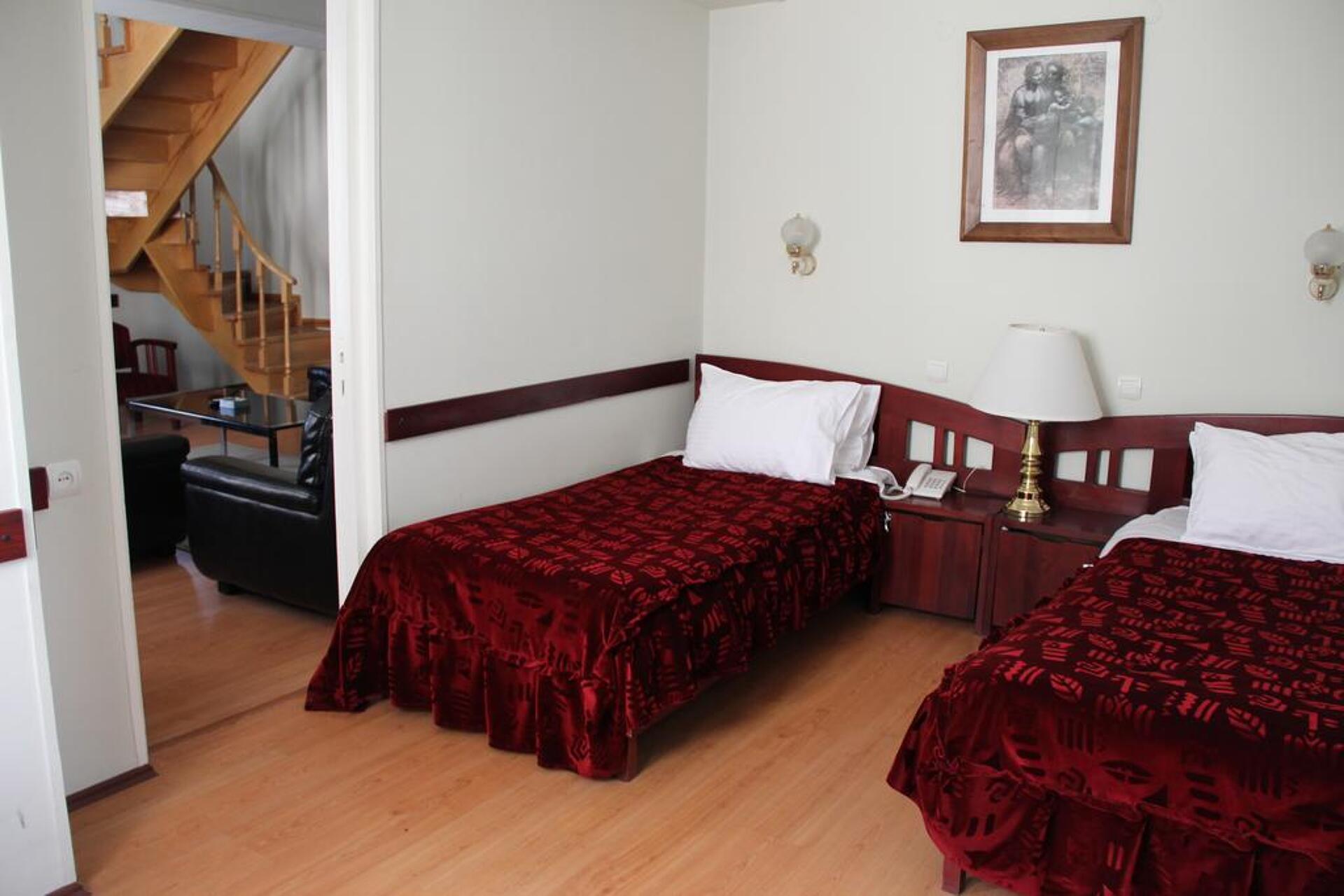 Iliani Hotel Tbilisi 4* 6