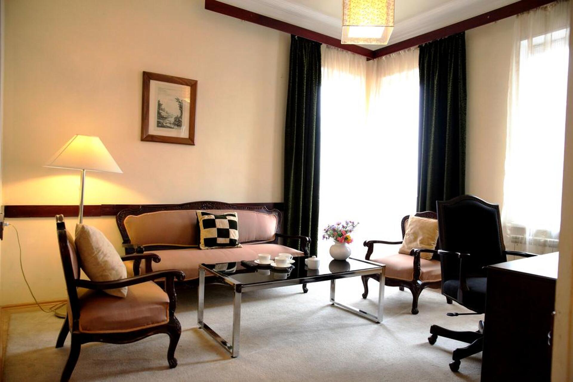 Iliani Hotel Tbilisi 4* 17