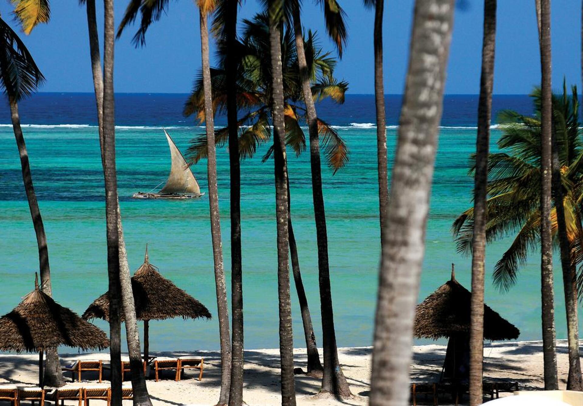 Emerald Dream of Zanzibar 6