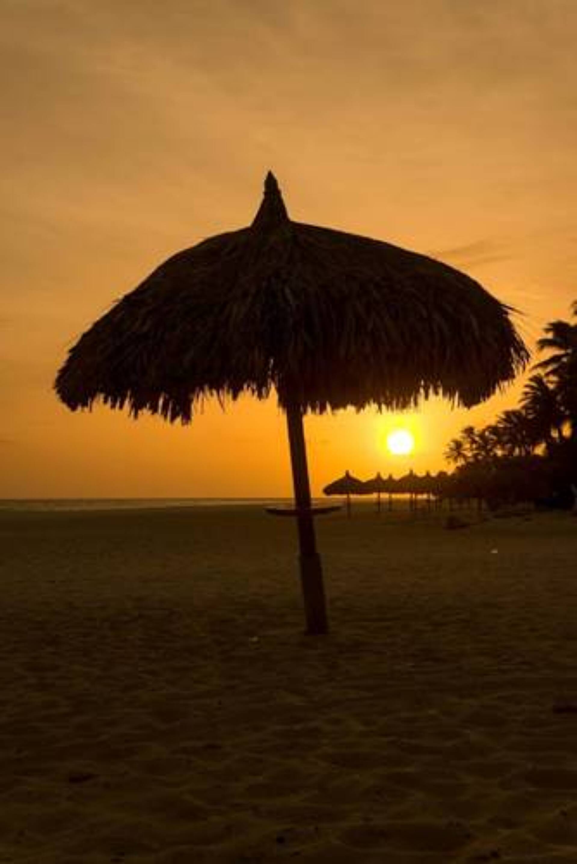 Divi Dutch Village Beach Resort 4* 19