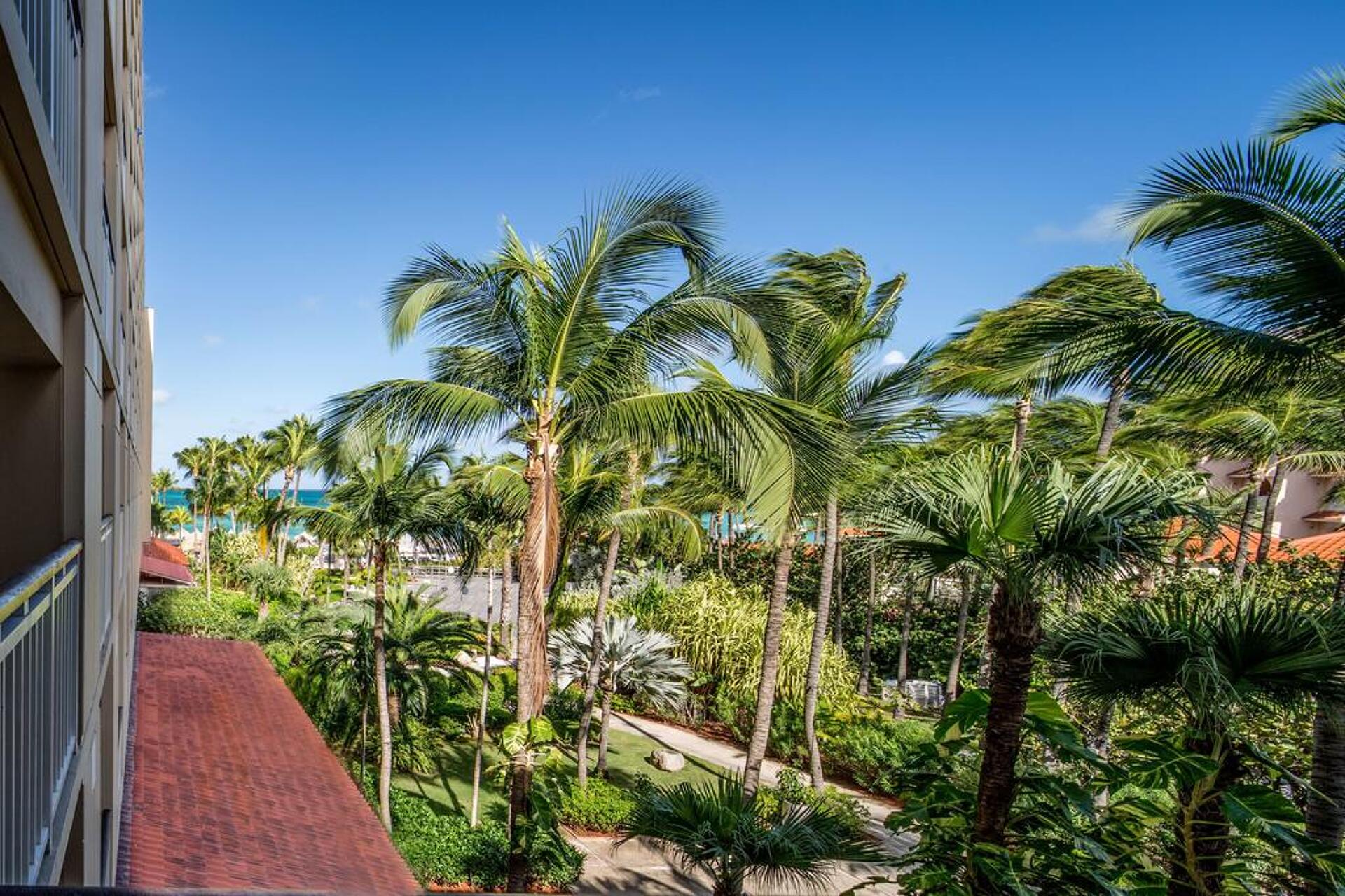 Hyatt Regency Aruba Resort & Casino 5* 20