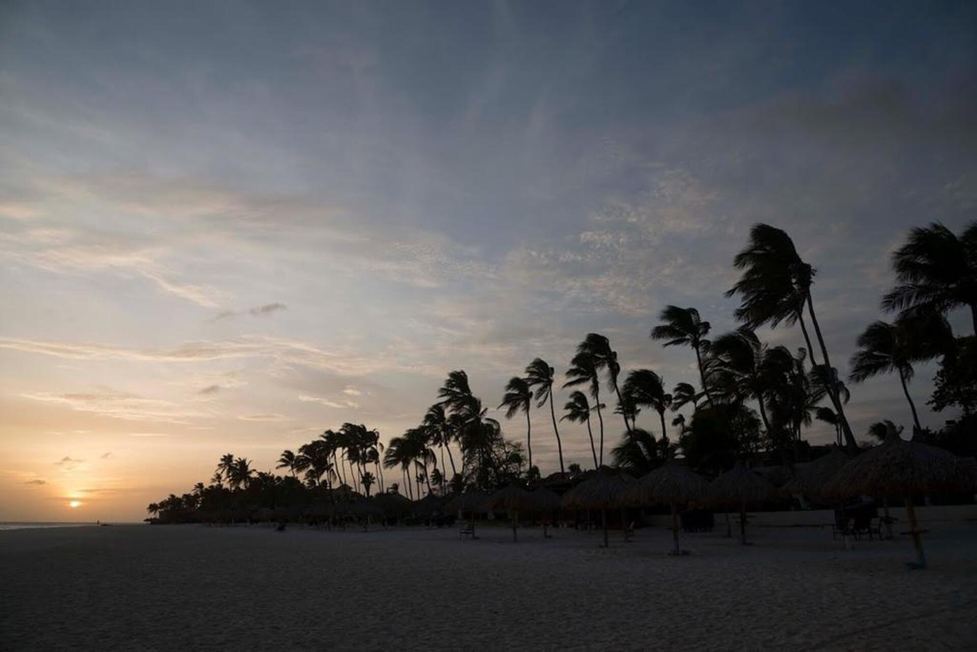 Divi Dutch Village Beach Resort 4* 17