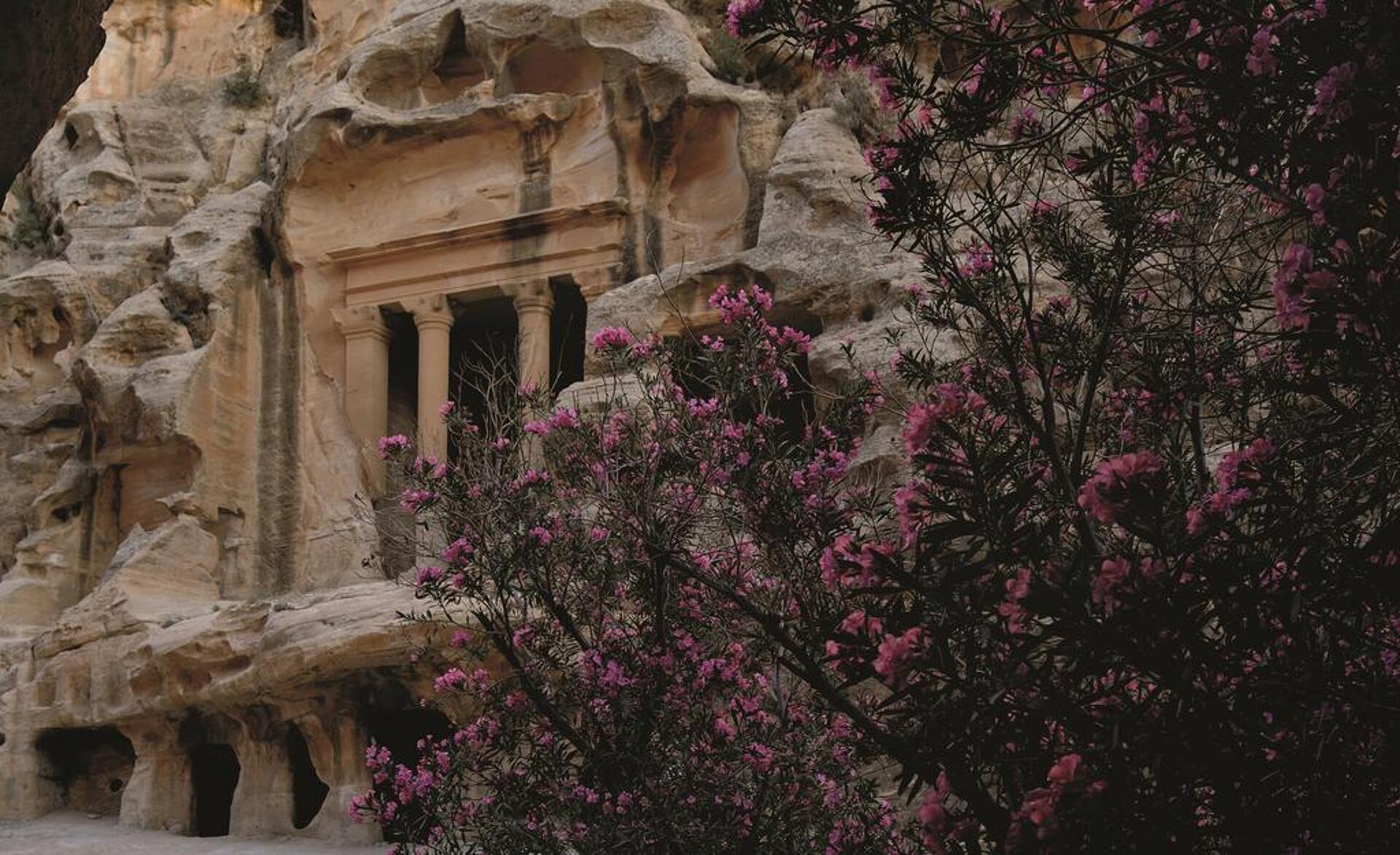 Movenpick Resort Petra 5* 23