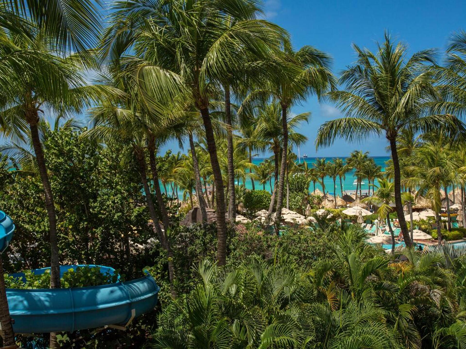 Hyatt Regency Aruba Resort & Casino 5* 30