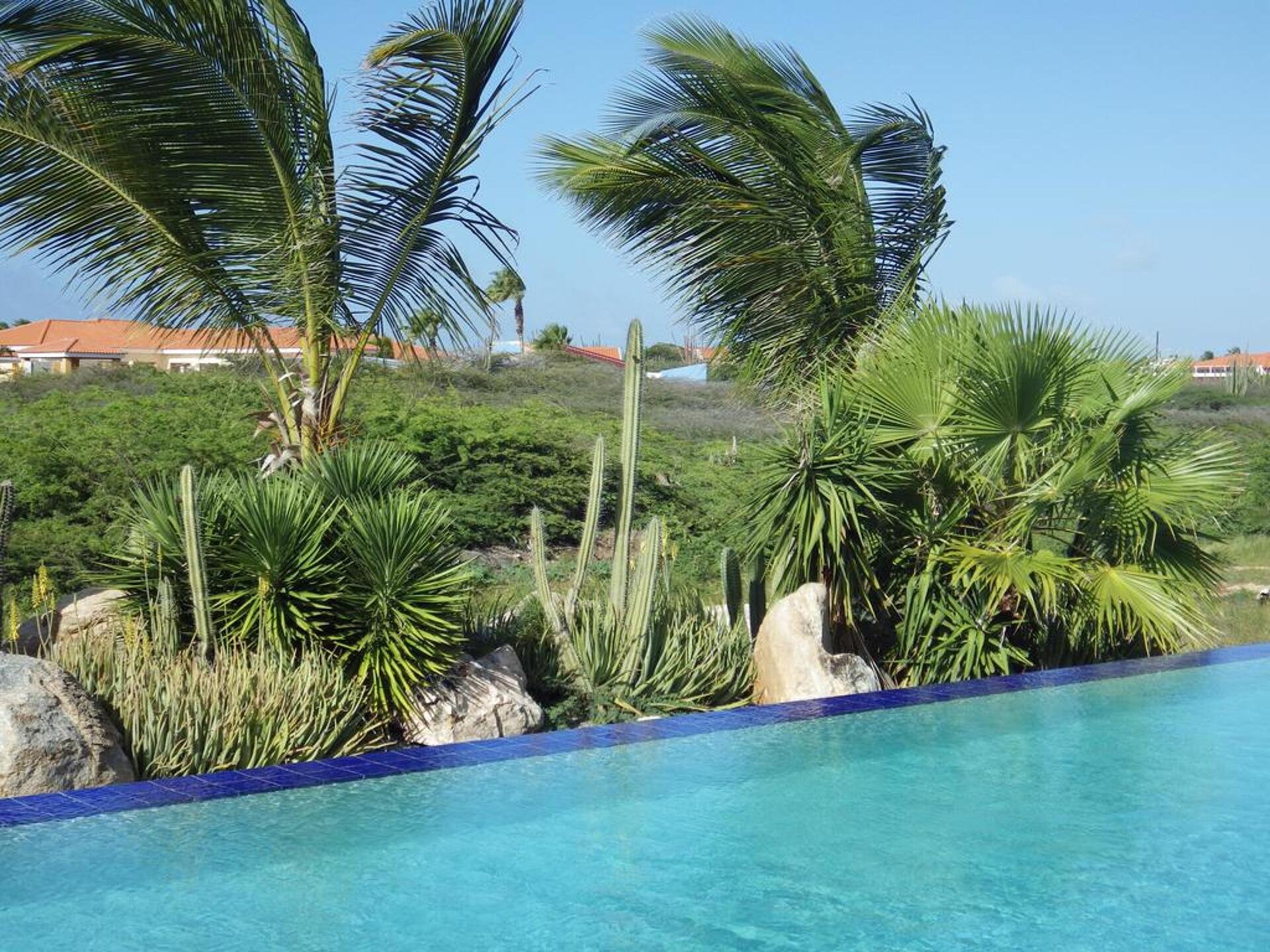 Aruba Cunucu Residence 7