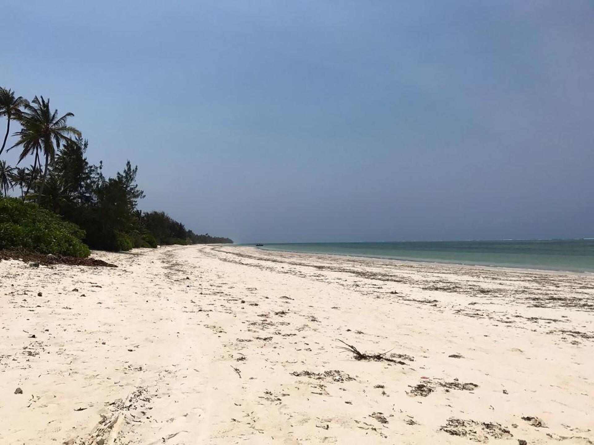 African Sun Sea Beach Resort & Spa 3* 7