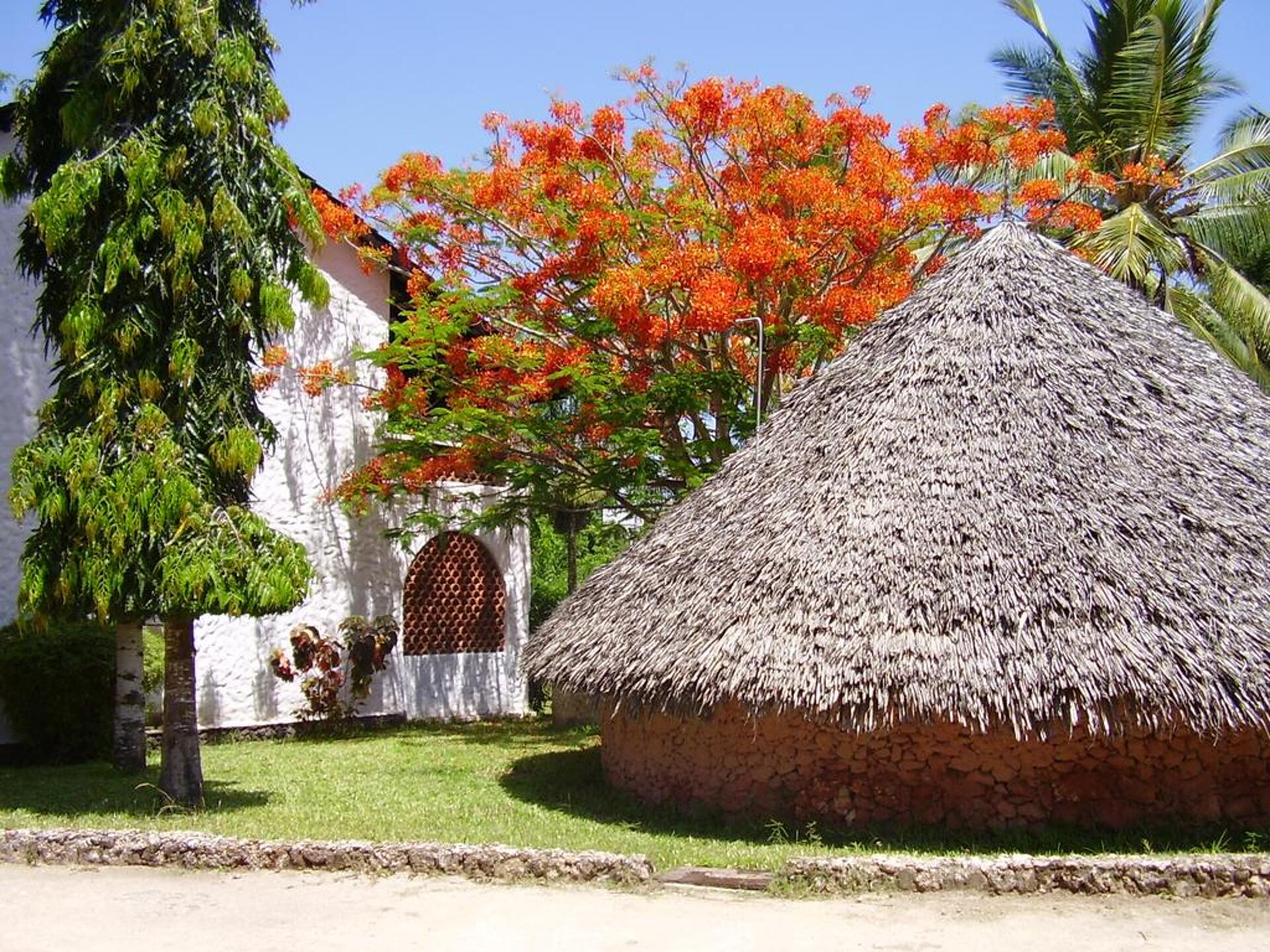 Pinewood Beach Resort & Spa 17