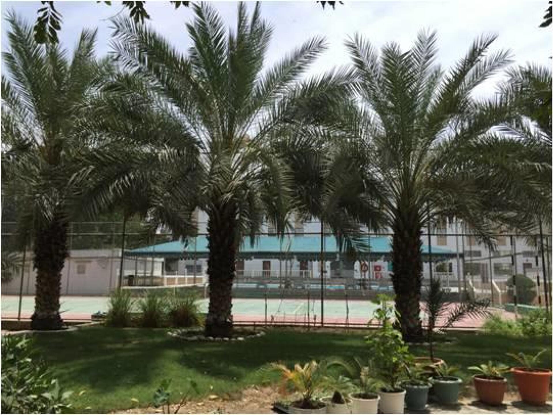 Hotel Al Madinah Holiday 4* 13