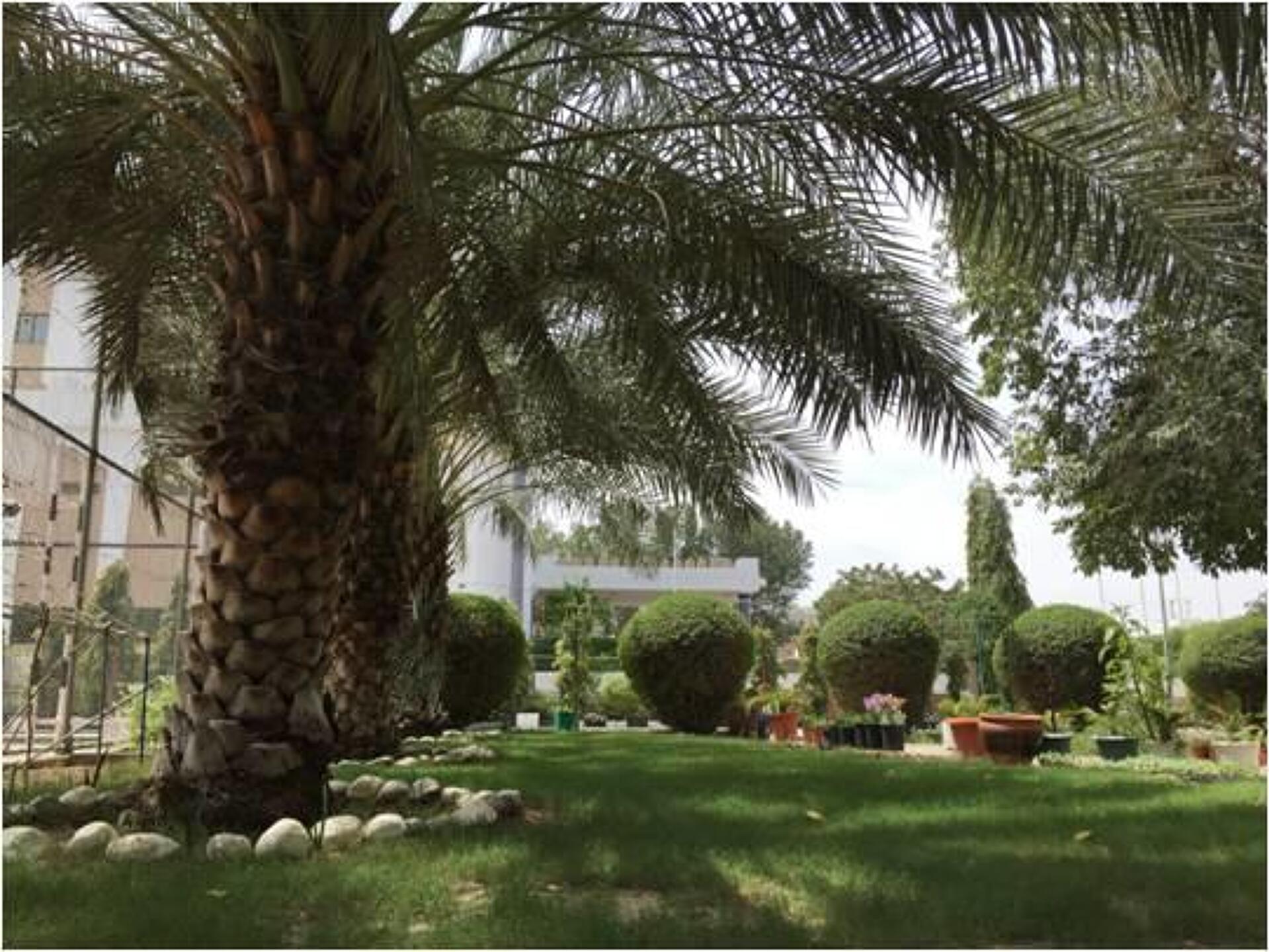 Hotel Al Madinah Holiday 4* 5