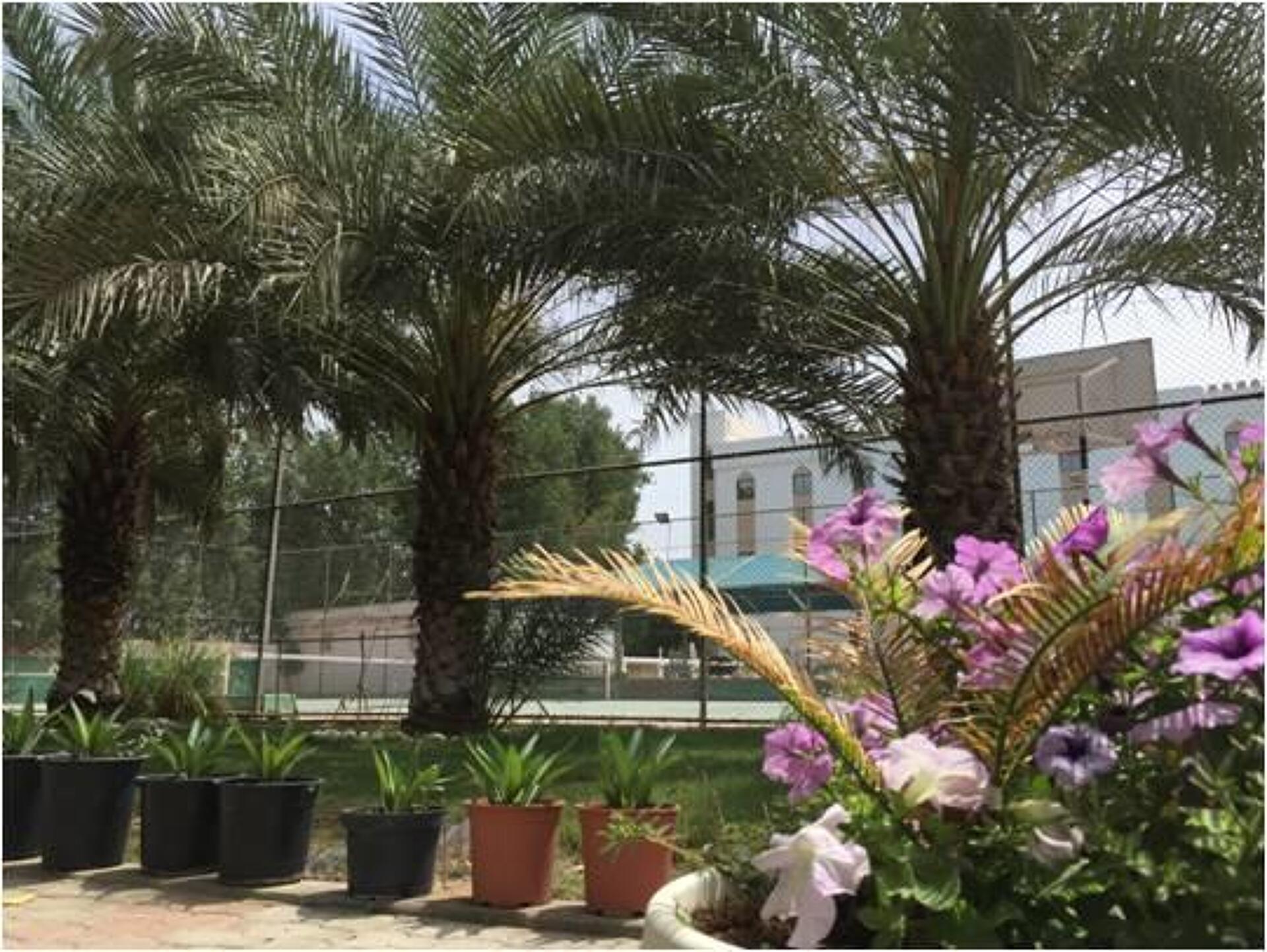 Hotel Al Madinah Holiday 4* 14