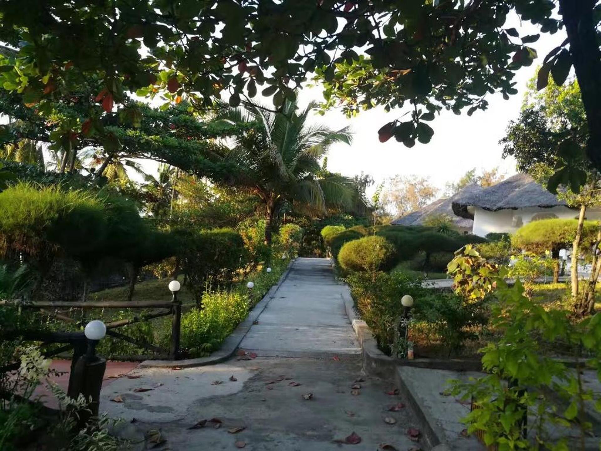 African Sun Sea Beach Resort & Spa 3* 11